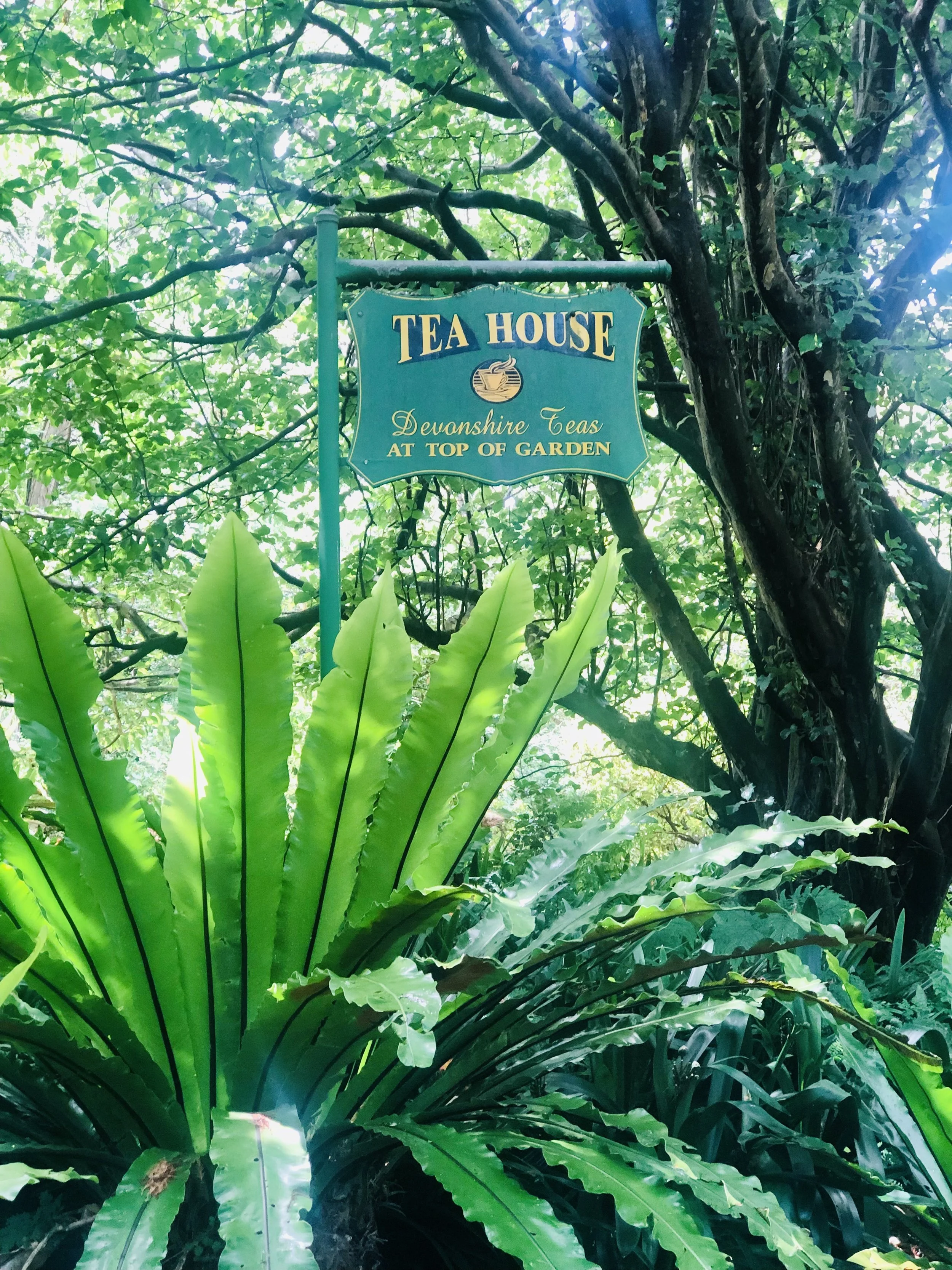 Bookings and Functions — The Jade Teahouse