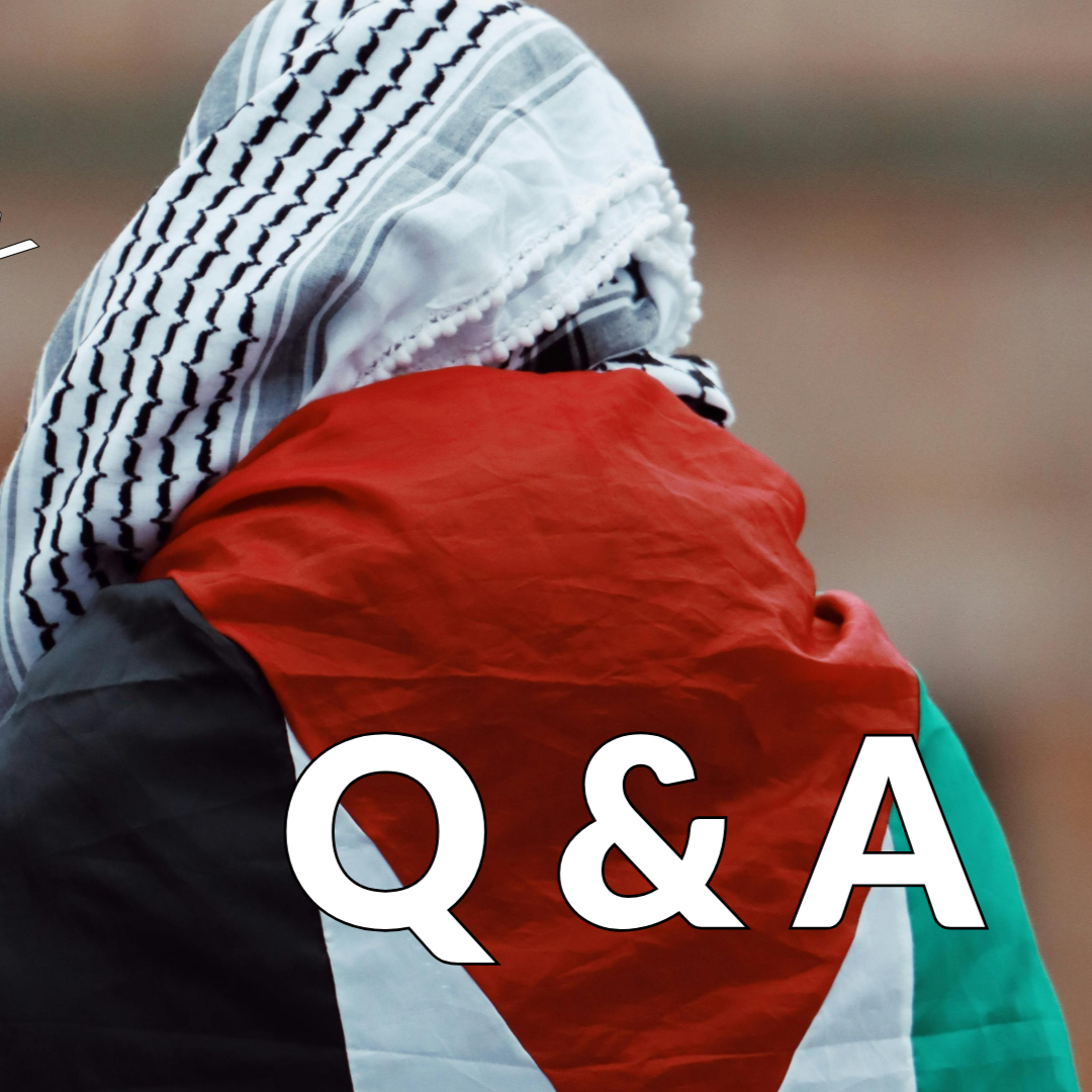 Solidarity Presence in Palestine Q &amp; A 
