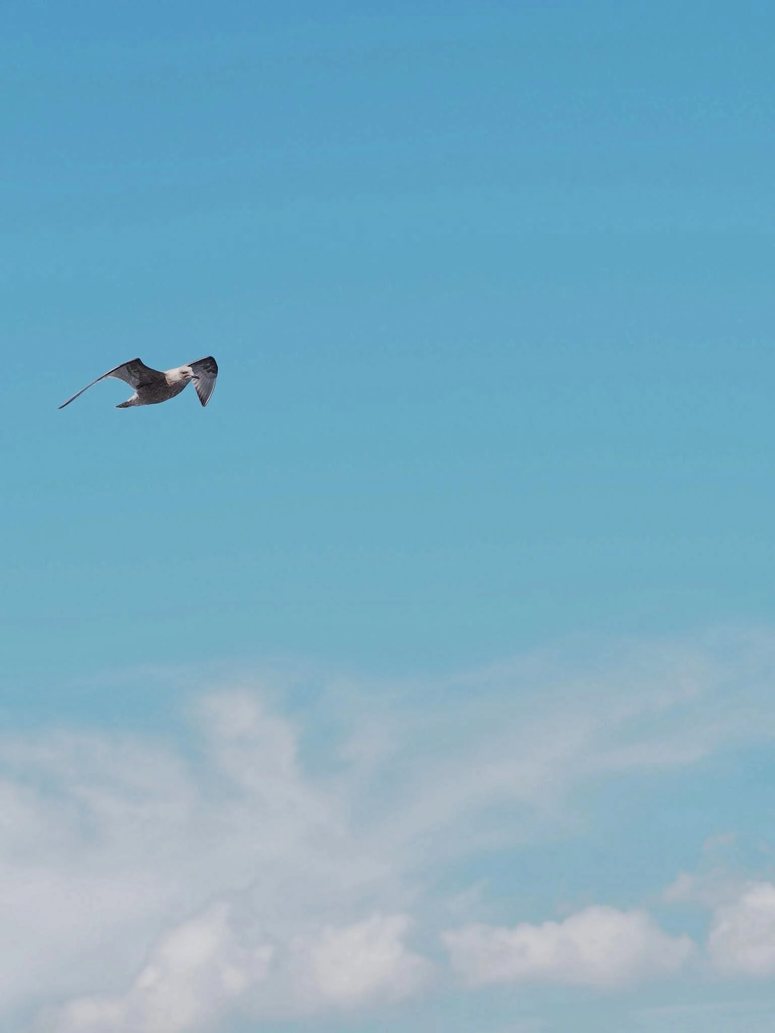 Hatsushima