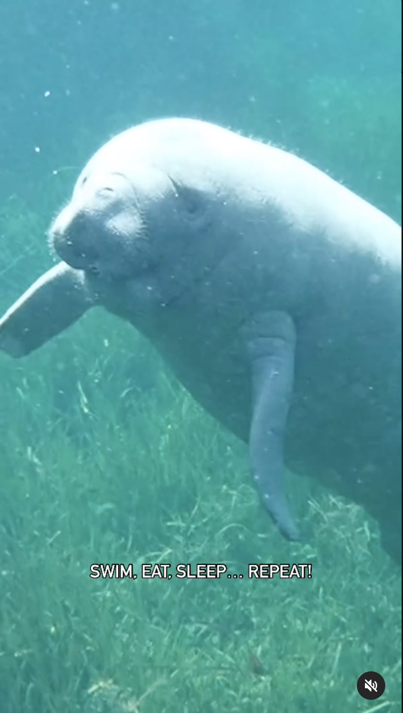 Screenshot 2024-06-24 at 2.29.51 PM.png