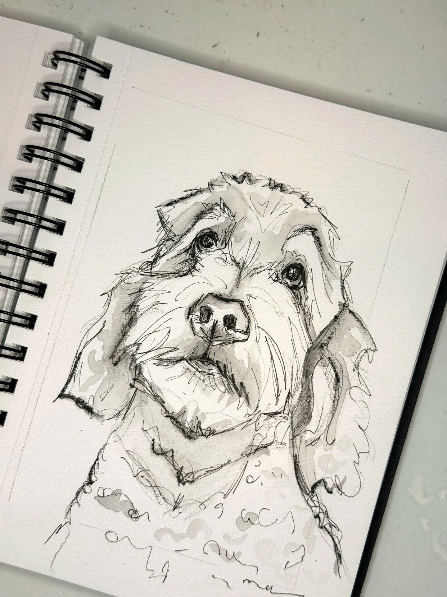 #doodlelove and more inspo from @dogculturegvl &lsquo;s adorable clients 🥰

#blackandwhite #classicandtimeless #dogsanddecor #artandinteriors #dogsandinteriors #dogsketch #doodlesketch #doodlelovers