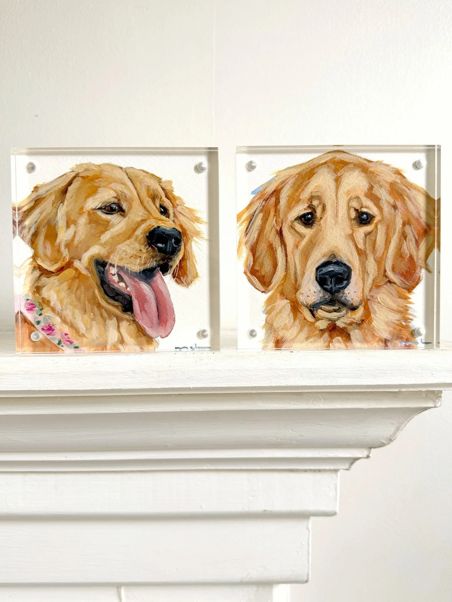 Peaches 😇 A gift to remember her by from a dad to his two sons. 🧡

#alldogsgotoheaven #untilwemeetagain #doglovergift #goldenlovers #goldenlove #goldensofinstagram #goldensoul