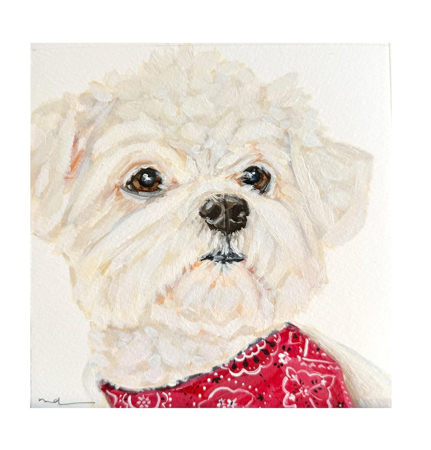 Paisley ❤️

#alldogsgotoheaven #olddogsarethebestdogs #paisley #dogsanddecor #dogartist #happytears❤️