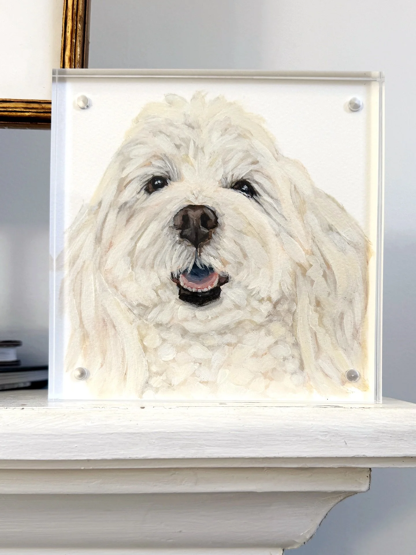 Dolly 💕
6x6 on paper 

#perfectgifts #doglovergifts #gifthappiness #peaceloveandzoomies #petportraitartist