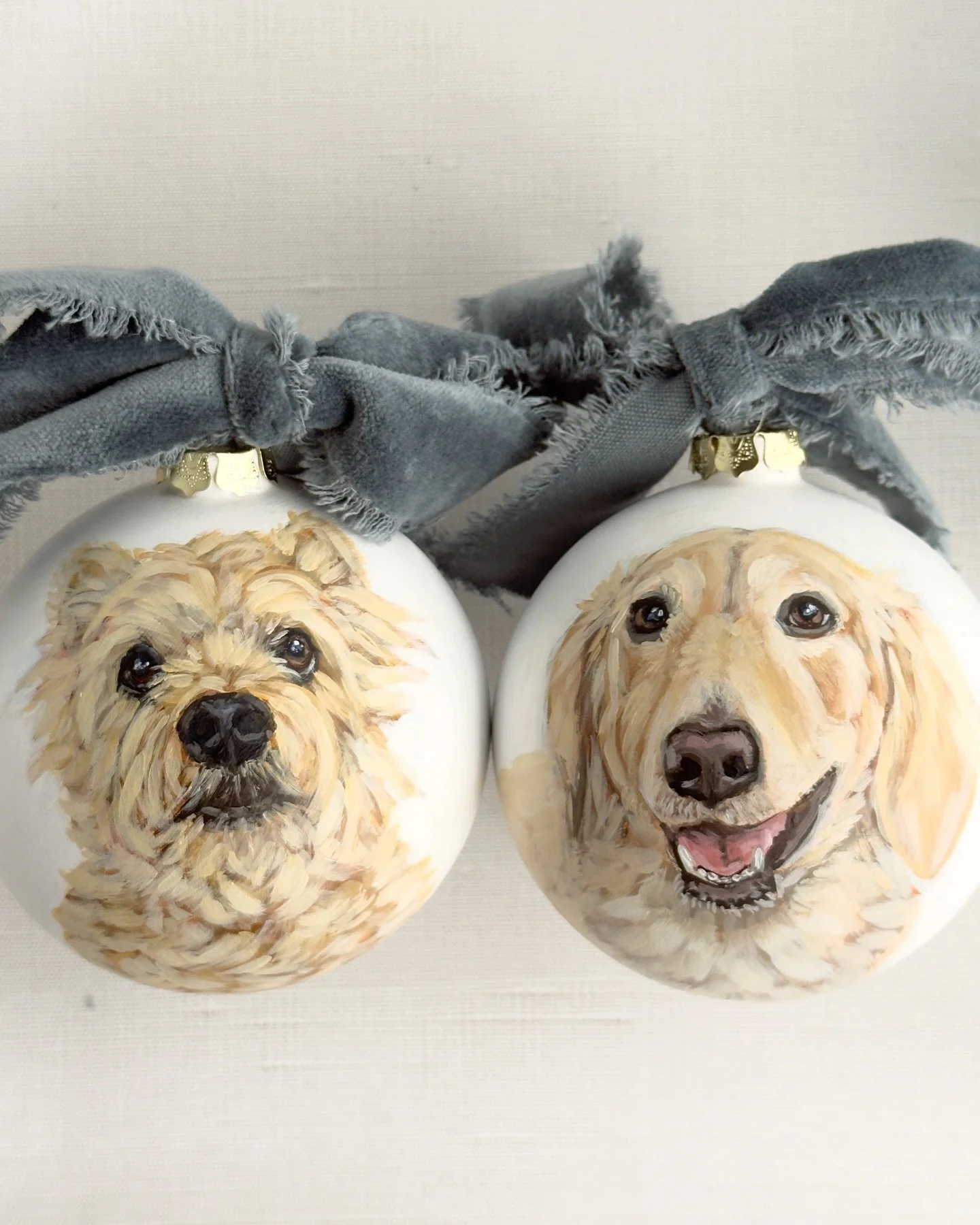 The cutest little blondies 💛💛 Allie and Champ 

#yorkielovers #dachsundsofinstagram #gifthappiness #dogornament