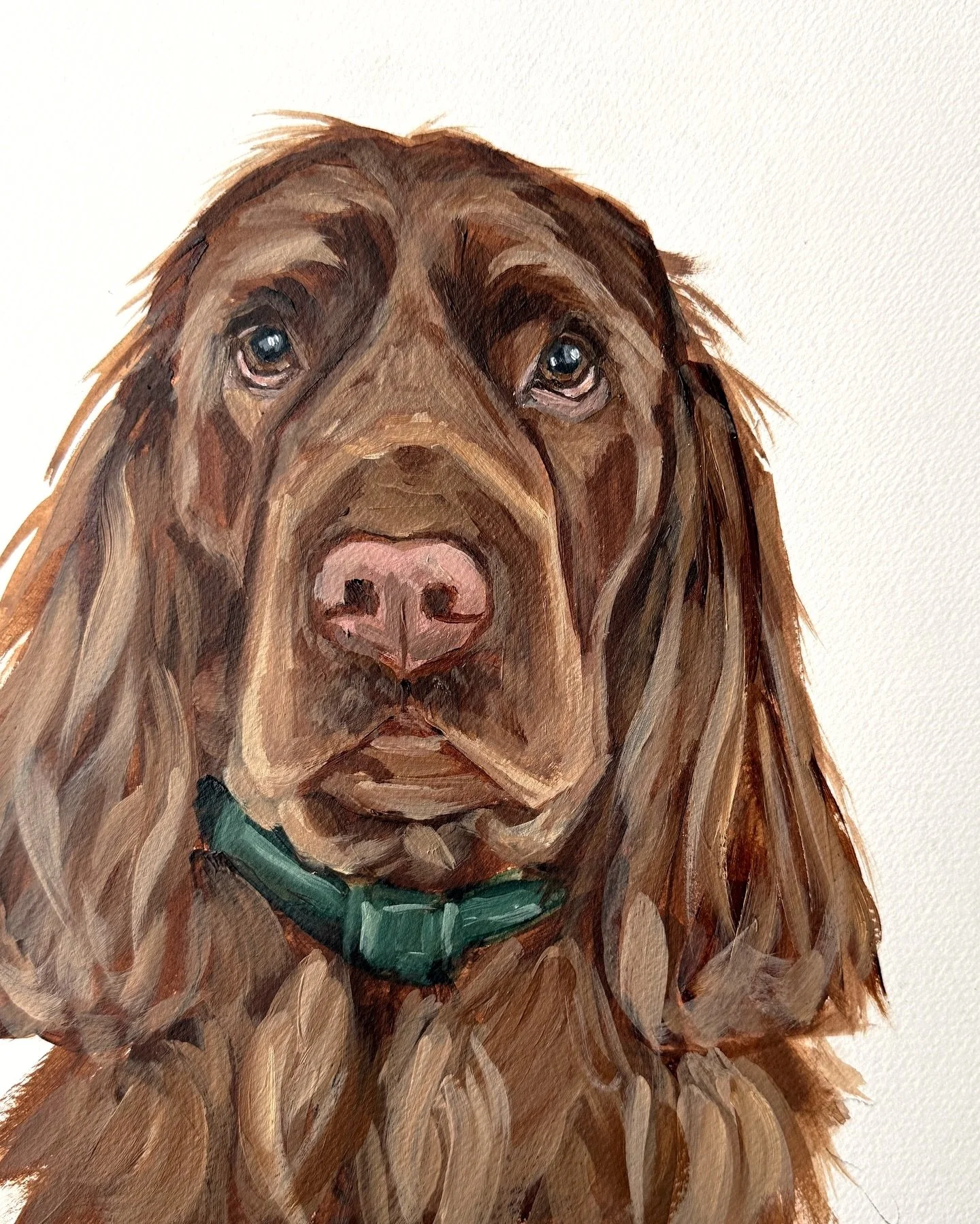 Darcie 🤎 8x10 on paper

#sussexspaniel #sussexspanielsofinstagram #gifthappiness #giftjoy #petportraitsofinstagram