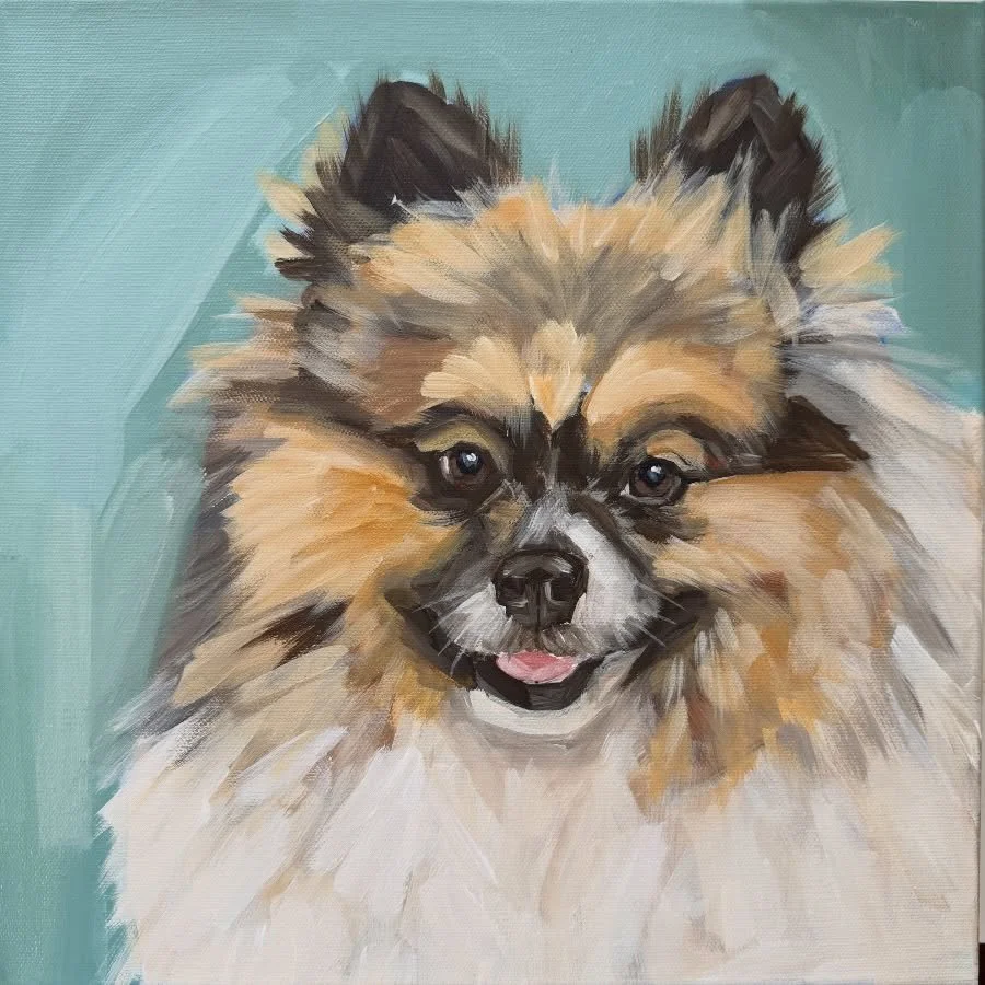 Jack 💙 12x12 canvas 

#pomsofinsta #pomeranian_moments #pomeranian_feature #gifthappiness