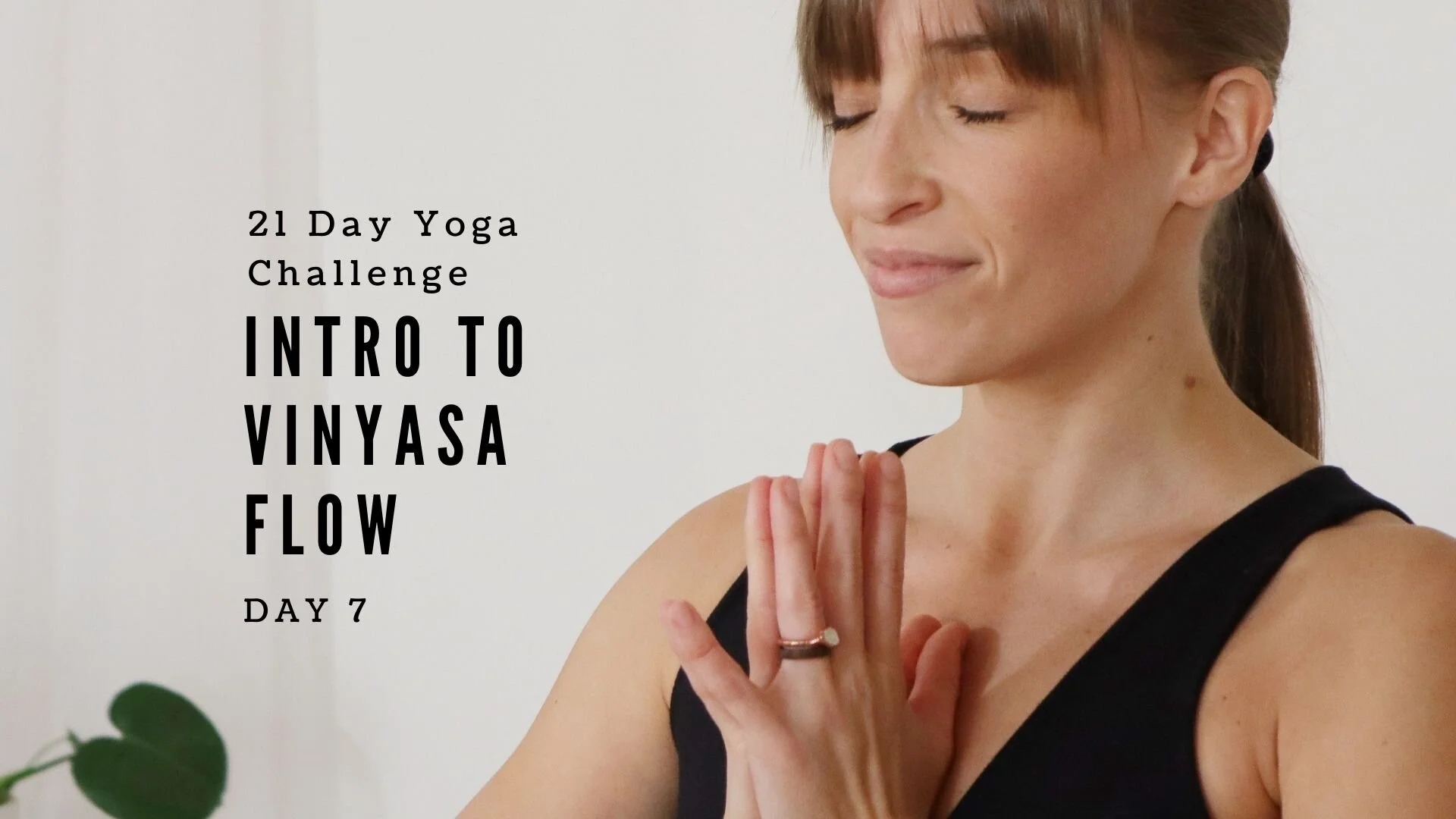 Day 7 - Slowing Down and Creating Space to Allow Our Mind to Gain Perspective