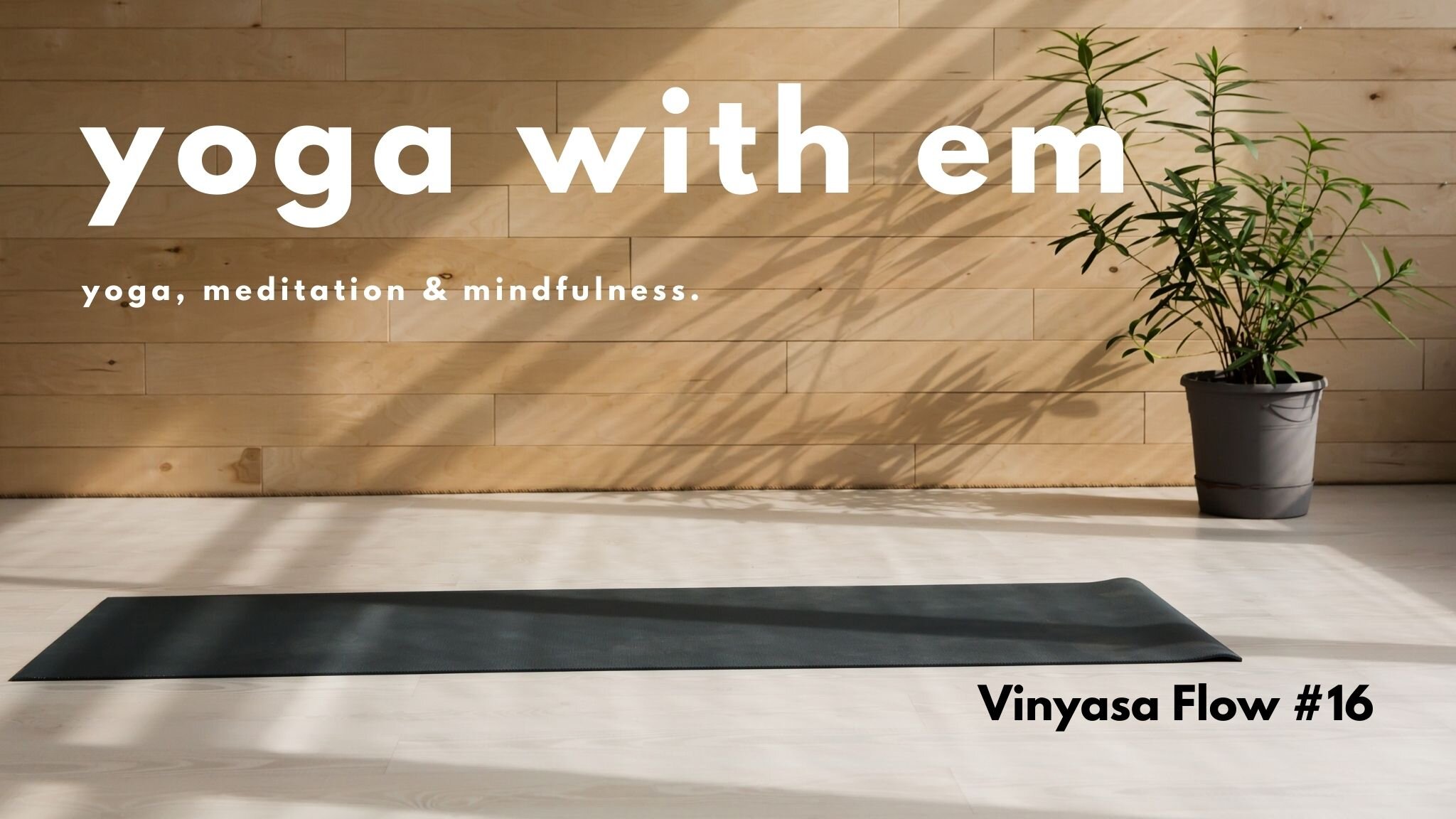 Vinyasa Flow #16