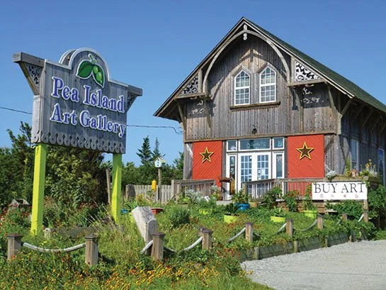1. Pea Island Art Gallery