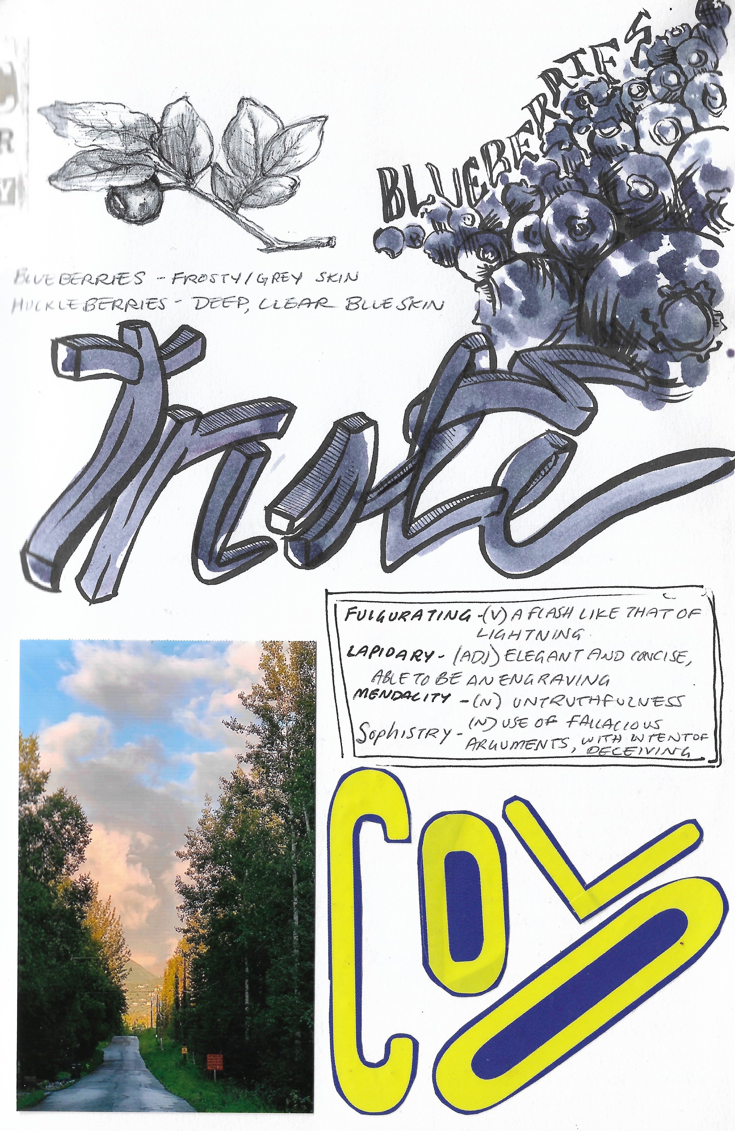 Alaska - blueberry juice, pen, collage, 2020