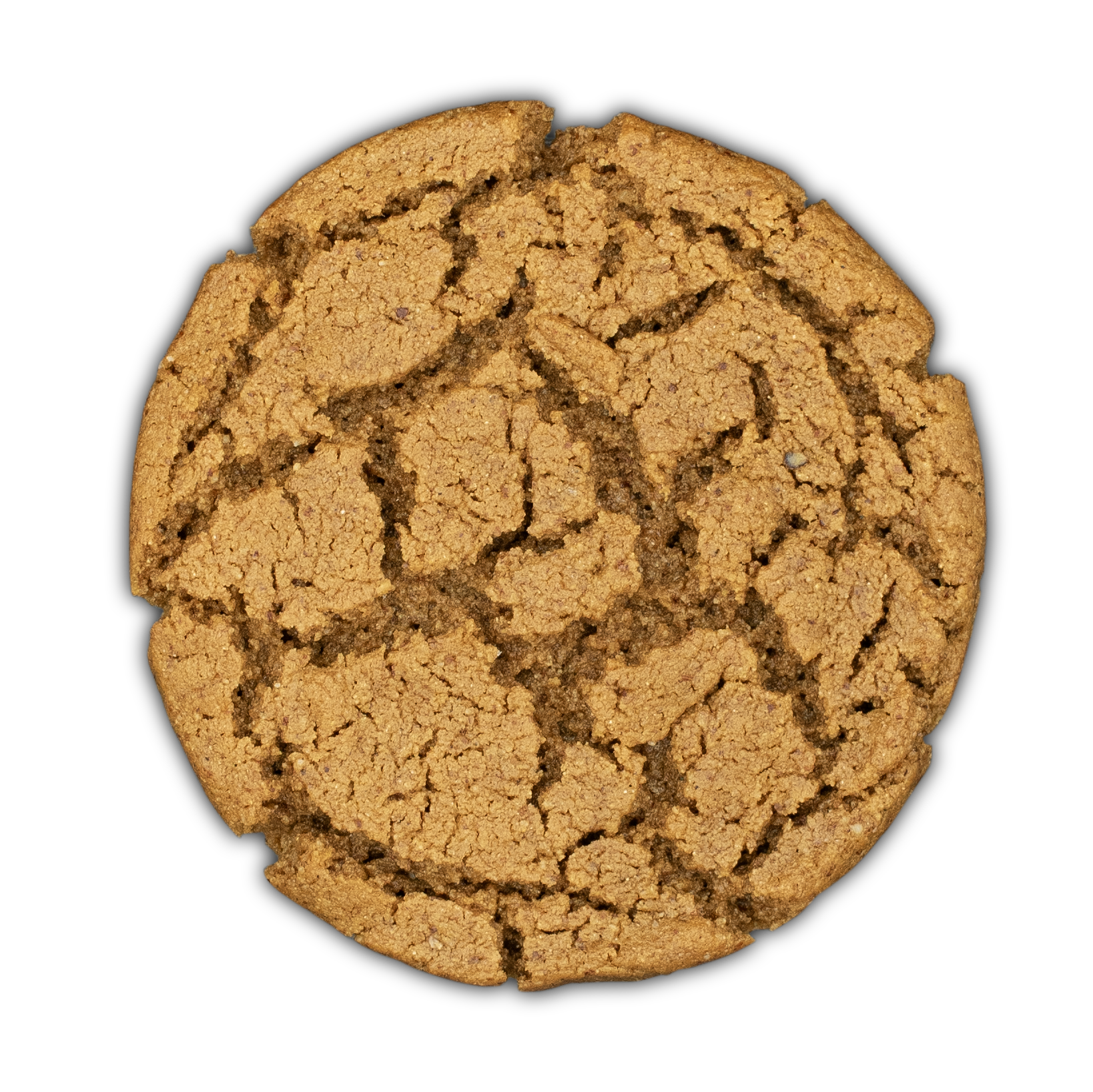 Cookie-The Ginj_v.1.PNG