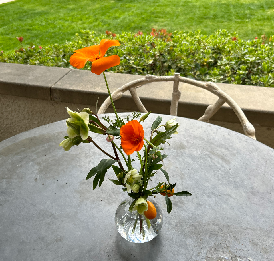 Screen Shot 2023-11-09 at 3.43.26 PM.png