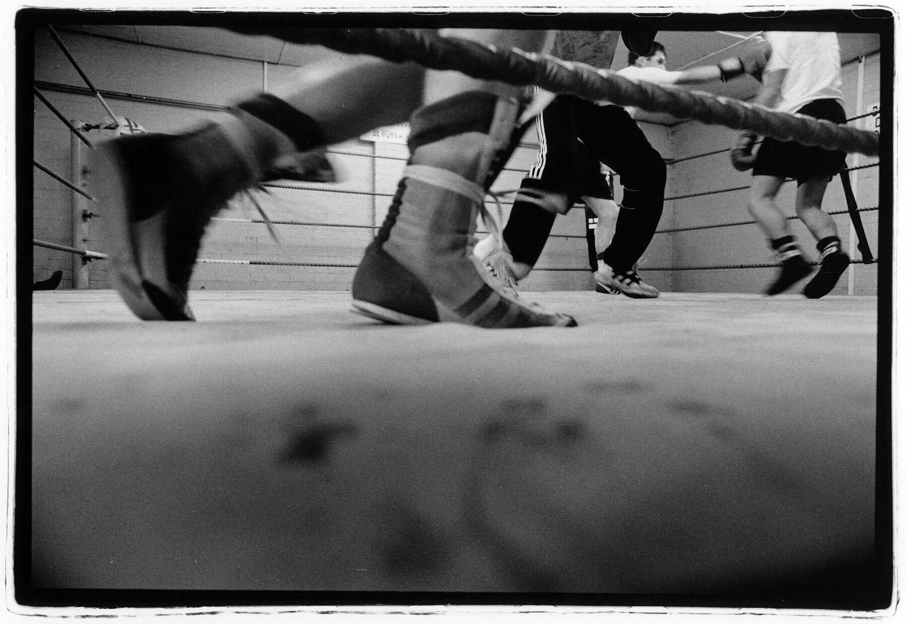Sheffiled-boxing-0010.jpg