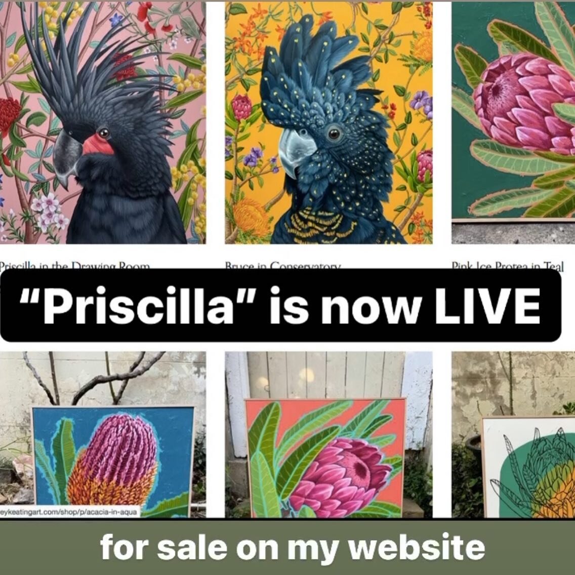 Finally up on my website ❤️ Link in bio.  #australianartist #australianart #australianpainting #australiannatives #flora #fauna #blackcockatoo #protea #australianbush #fineart #interiordesign #interiorstyling #interiordecorating #insituartroom #artfo