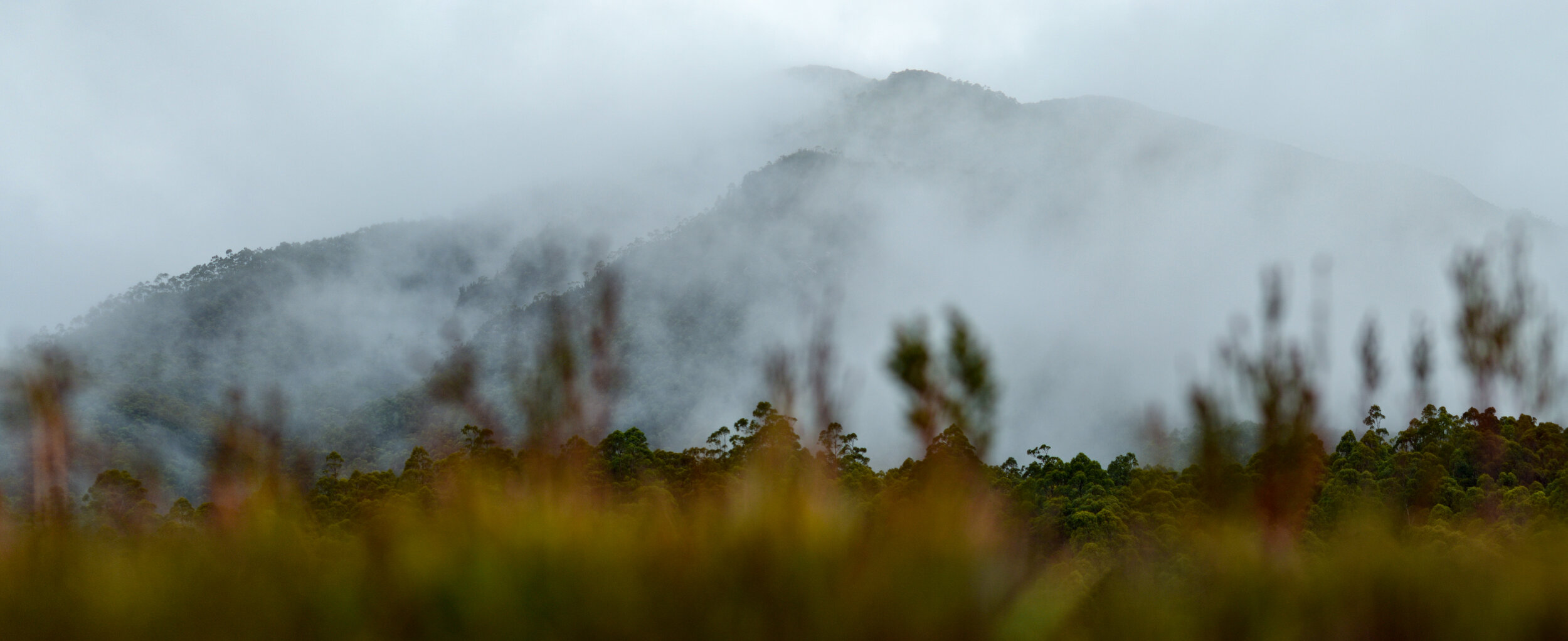 Tasmanian Highlands