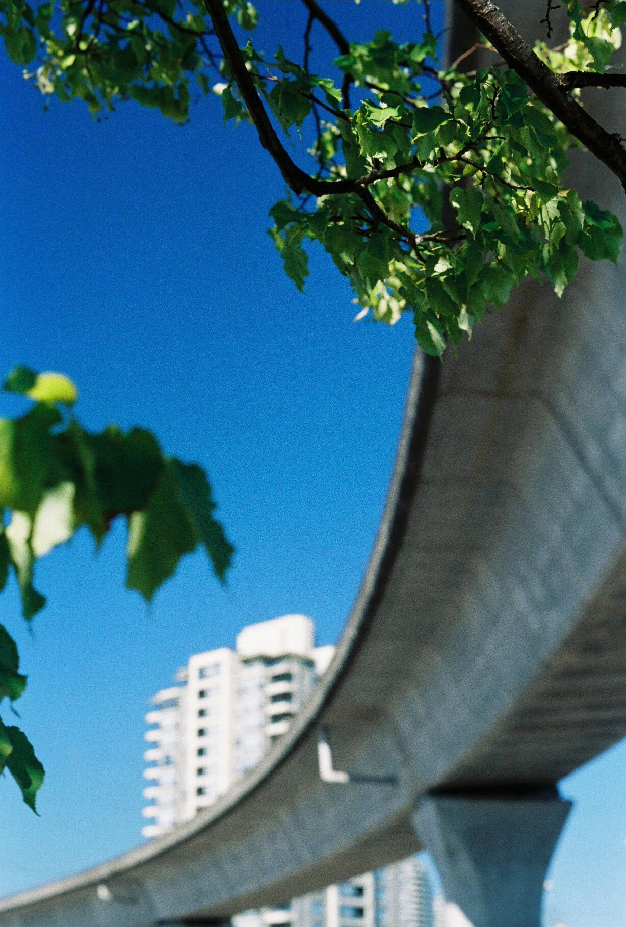 HomeDepotSkytrain.jpg