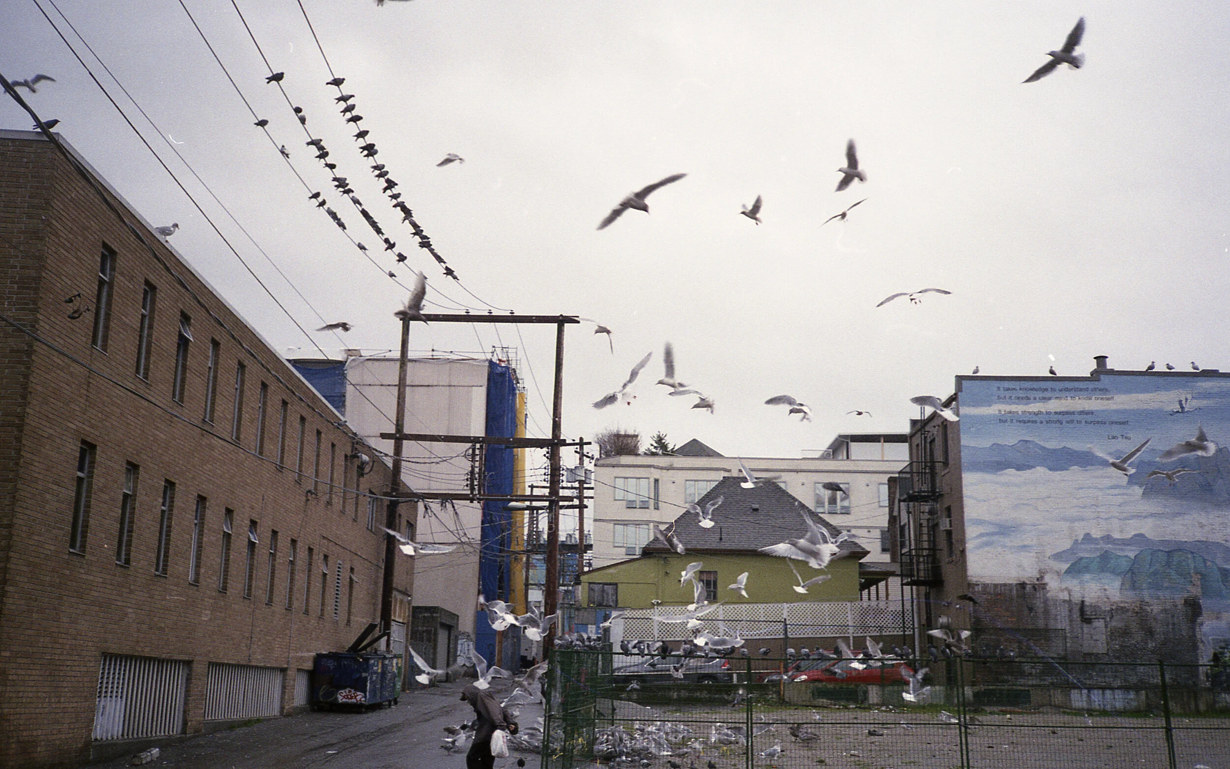 canonsureshot005.jpg
