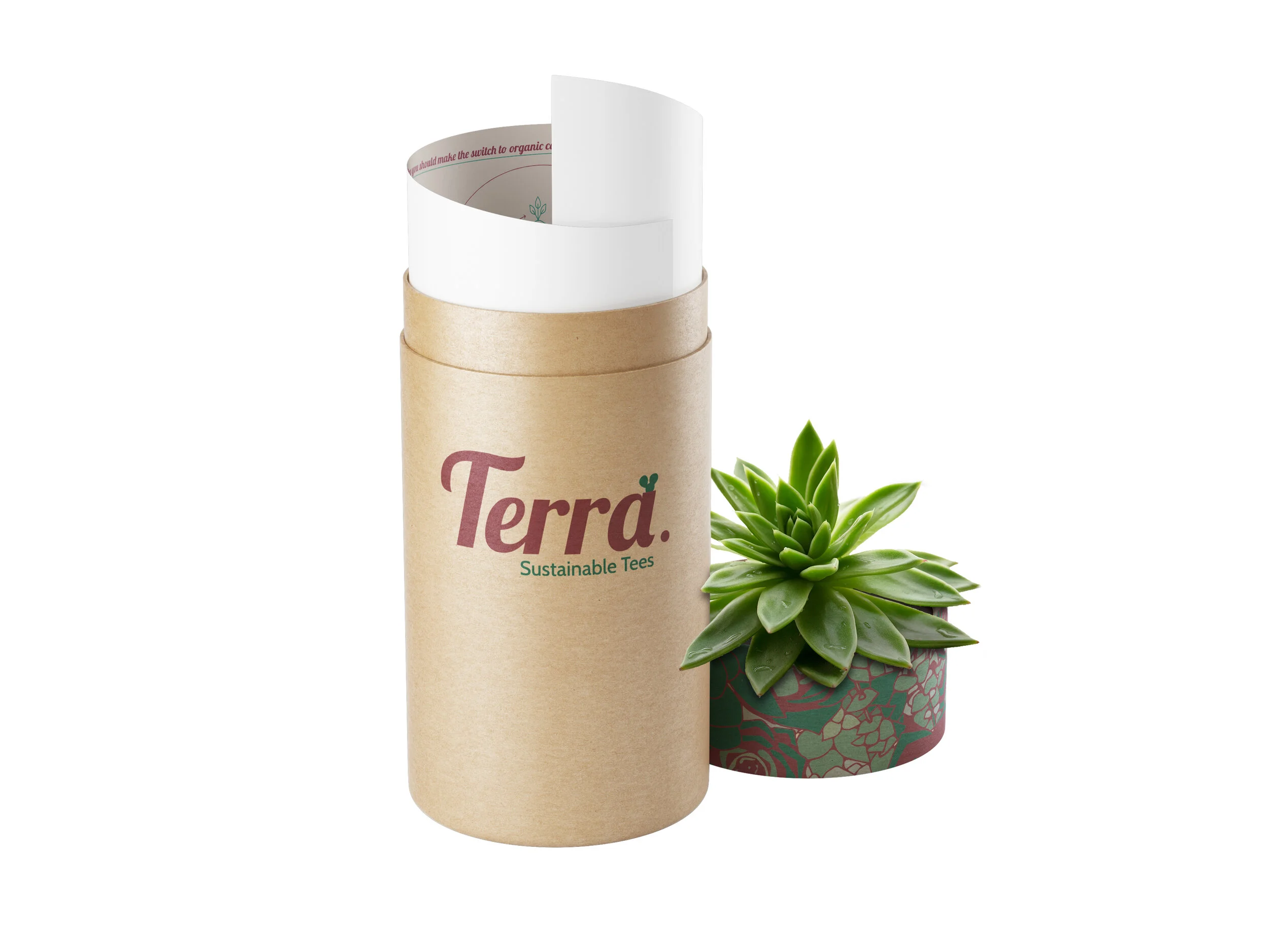 terra.jpg