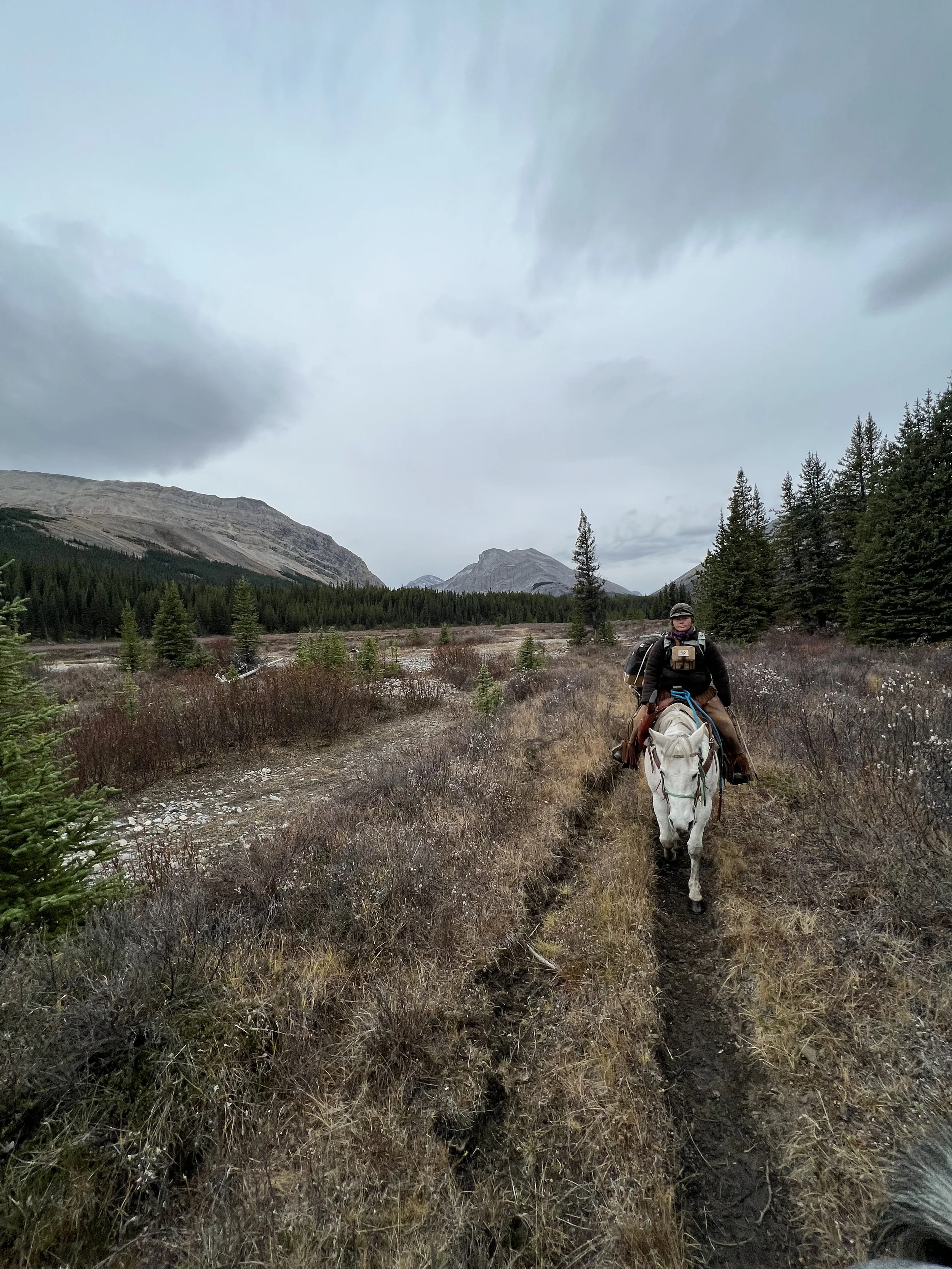 Elk Hunting Chronicles - Part 8