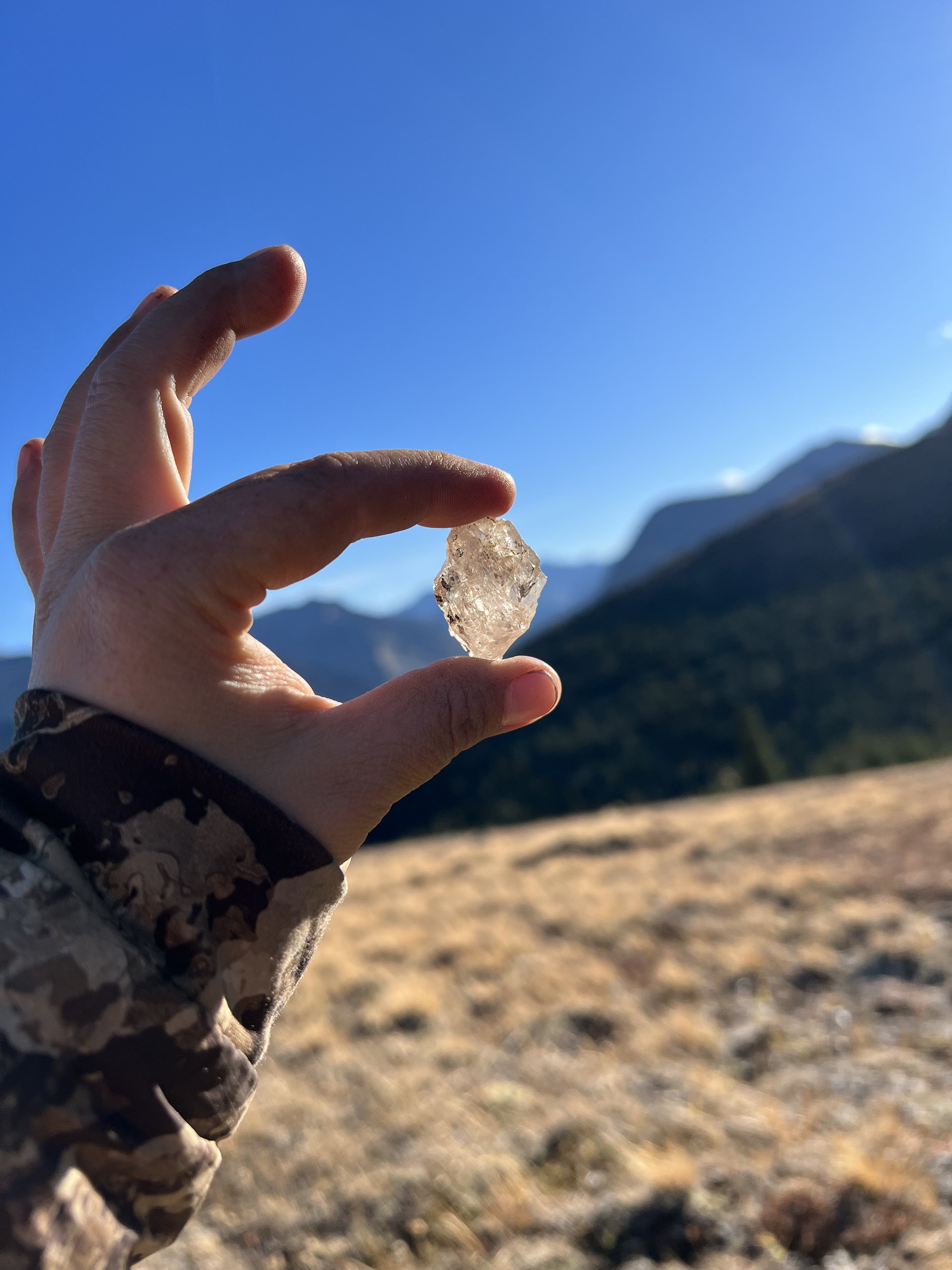 Elk Hunting Chronicles - Part 6