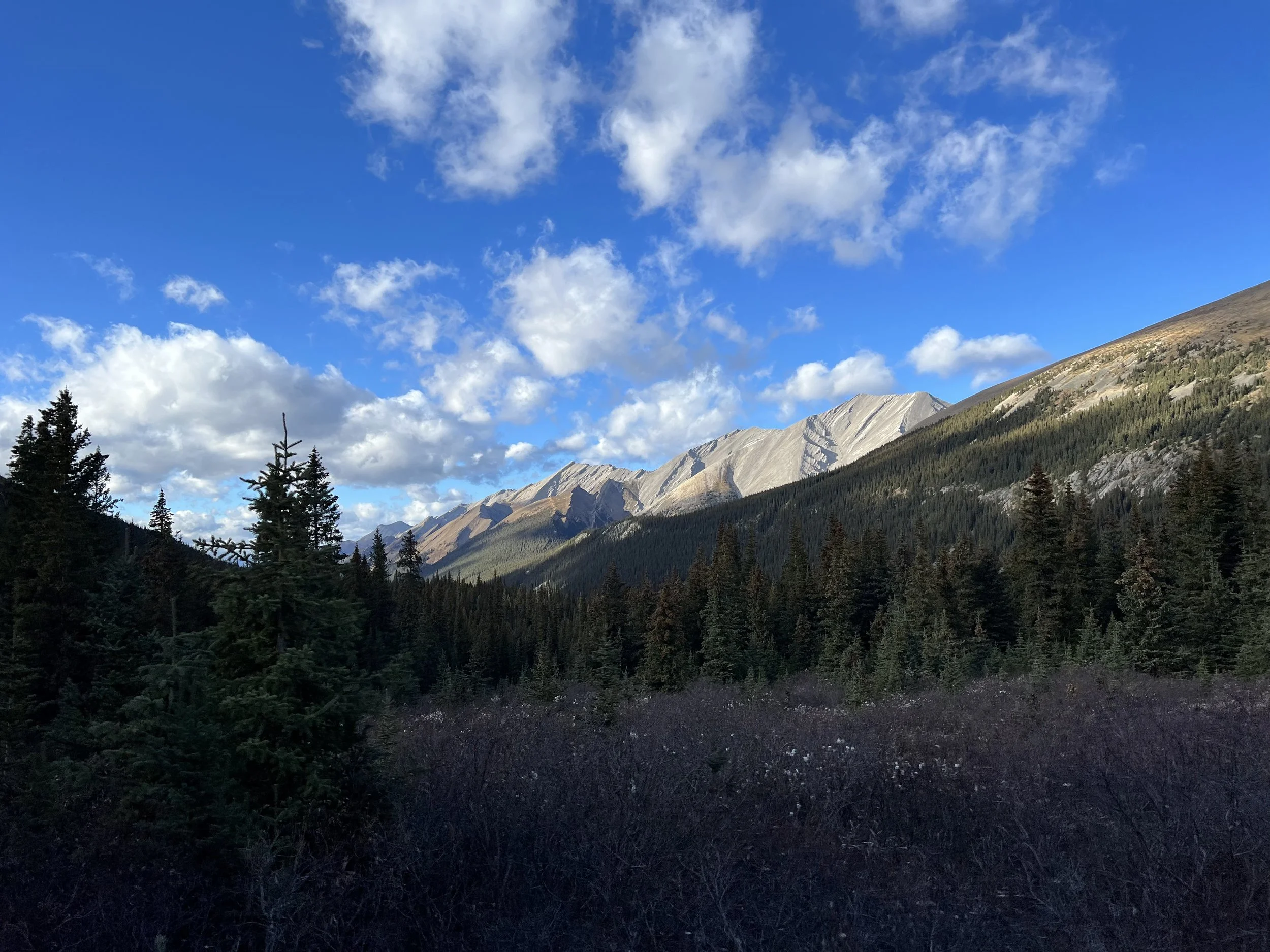 Elk Hunting Chronicles - Part 5