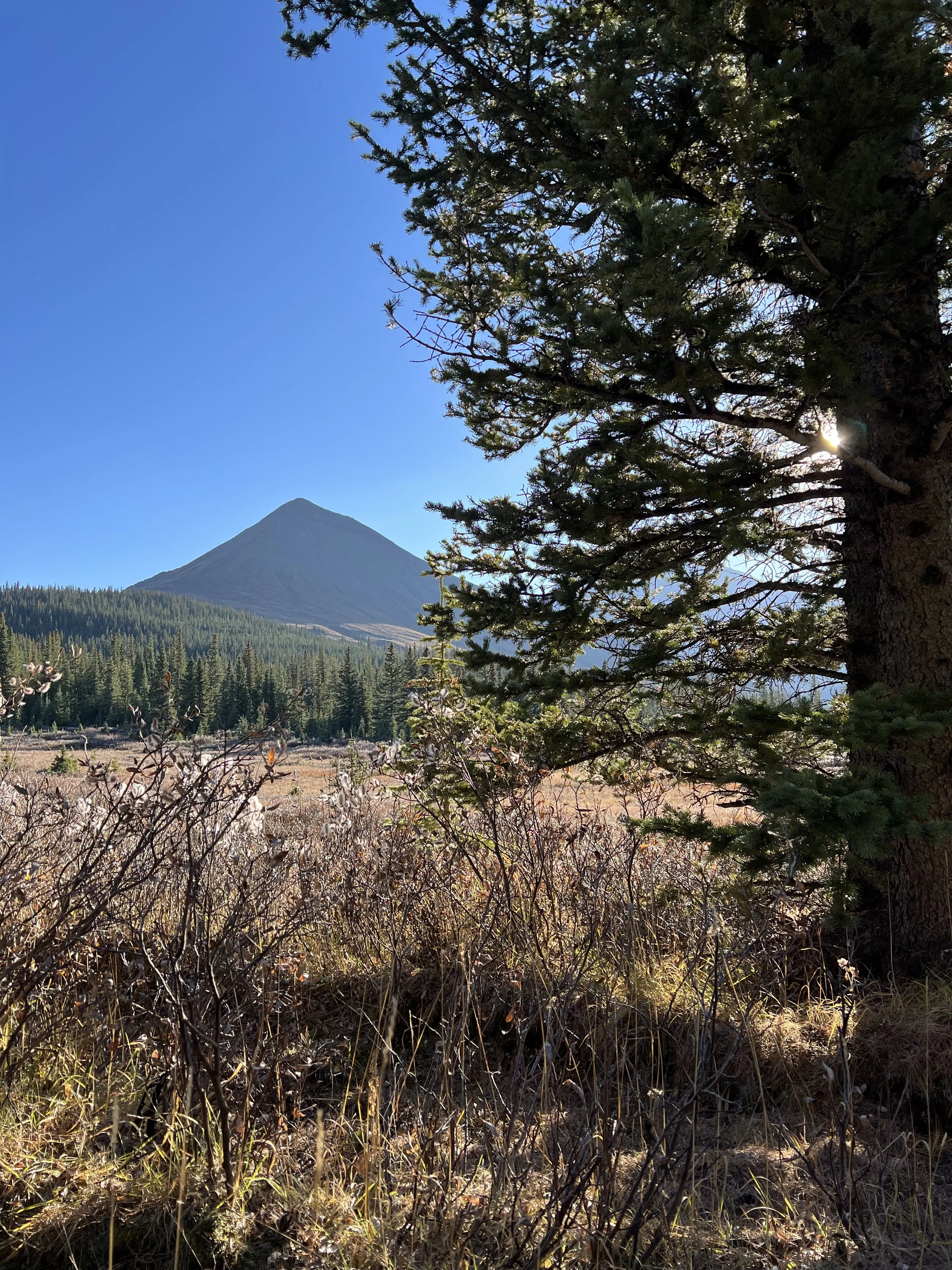 Elk Hunting Chronicles - Part 3