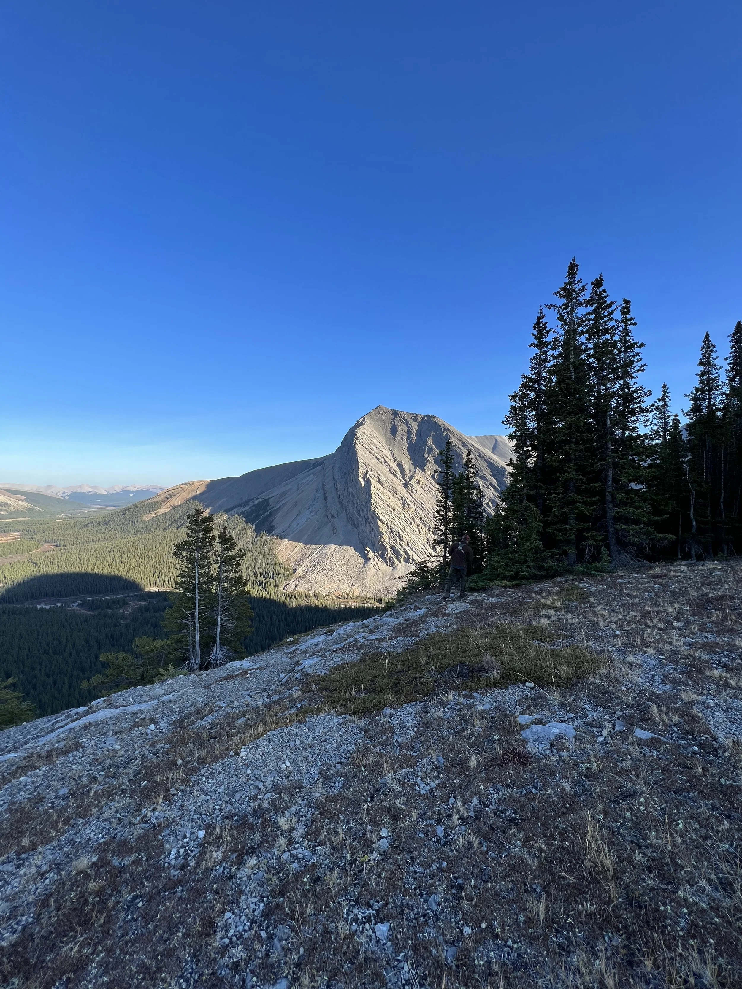 Elk Hunting Chronicles - Part 2