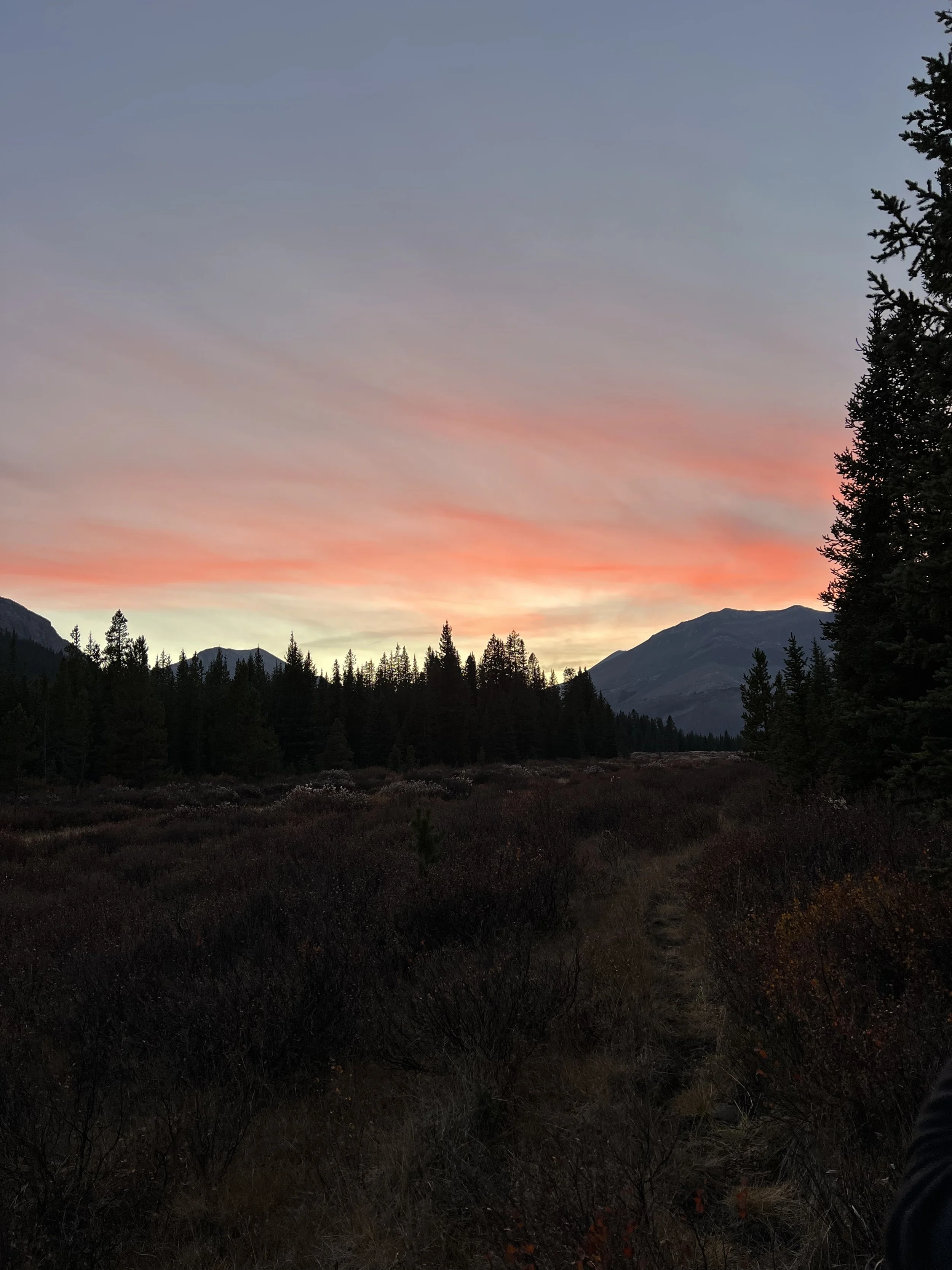 Elk Hunting Chronicles