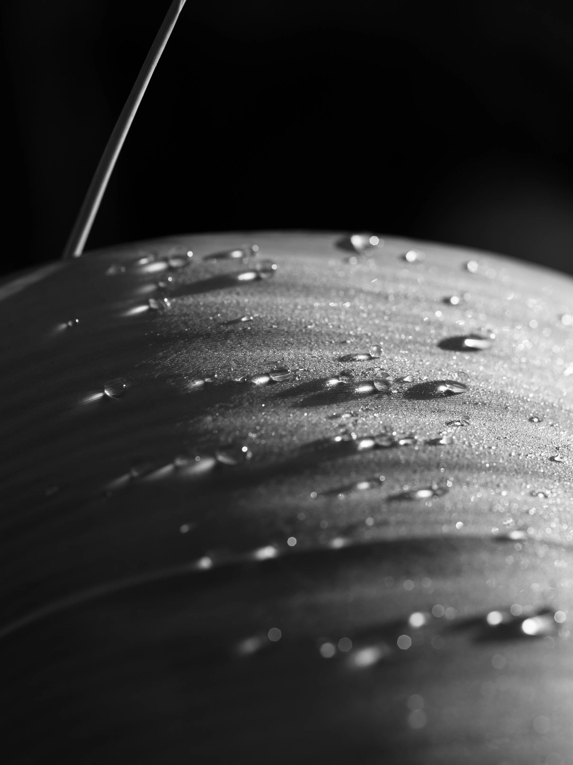 Raindrop abstract.jpg
