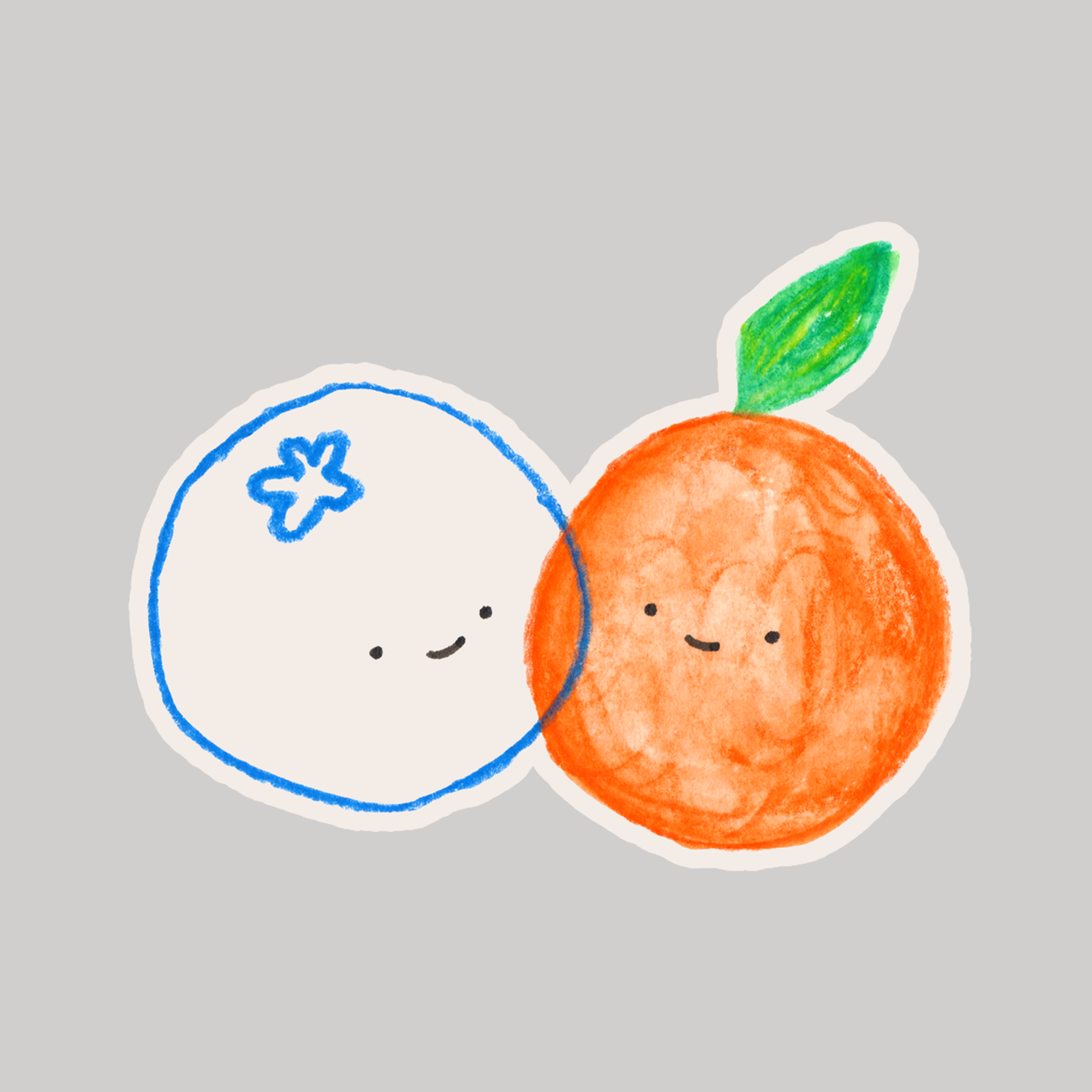 Blueberry & Orange Sticker