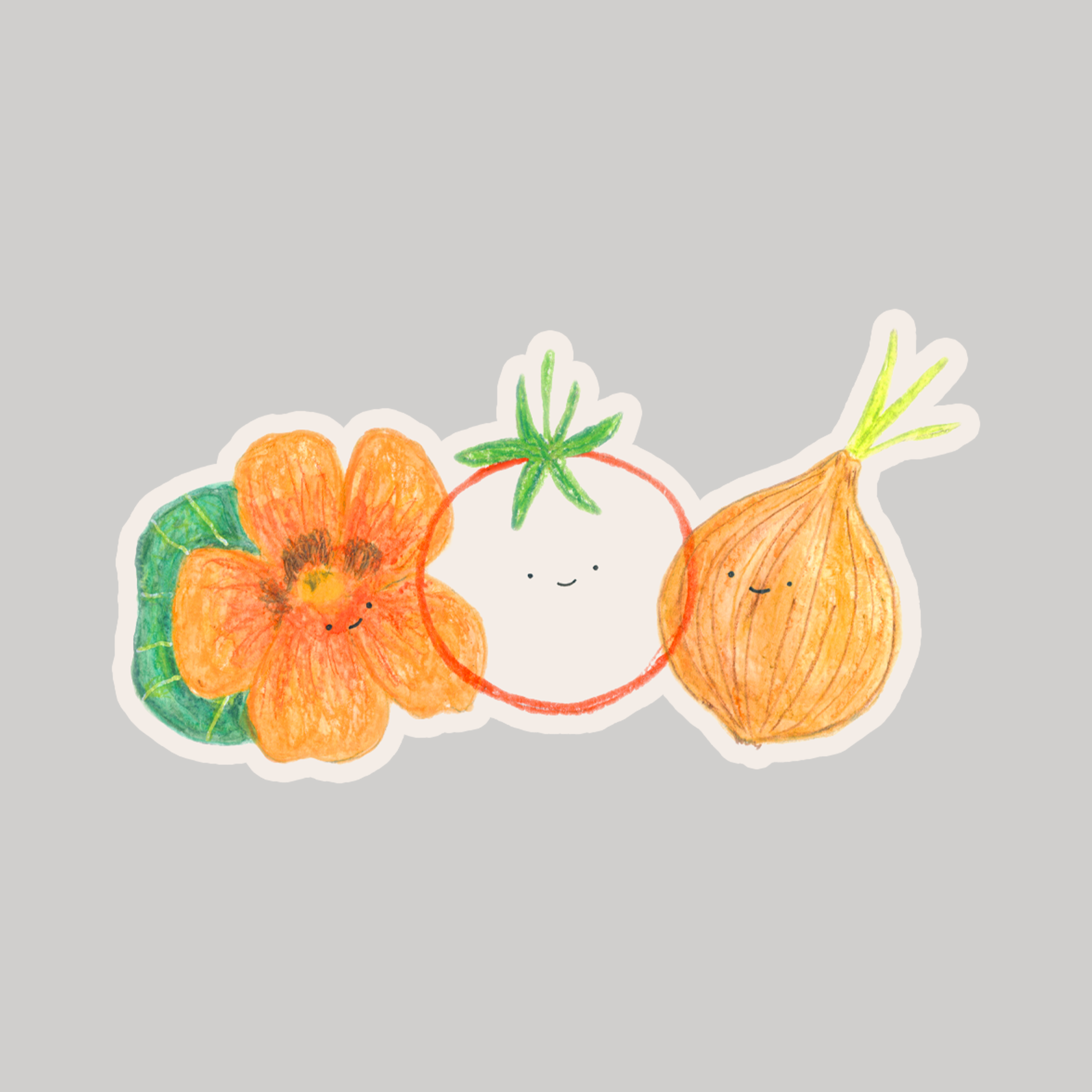 Tomato Companion Sticker