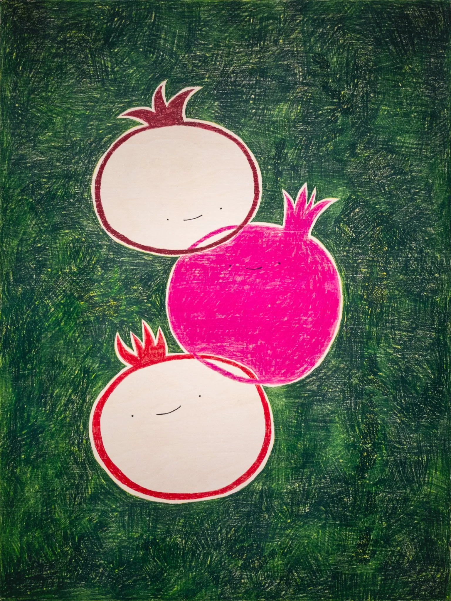 18x24 pomegranate.jpg