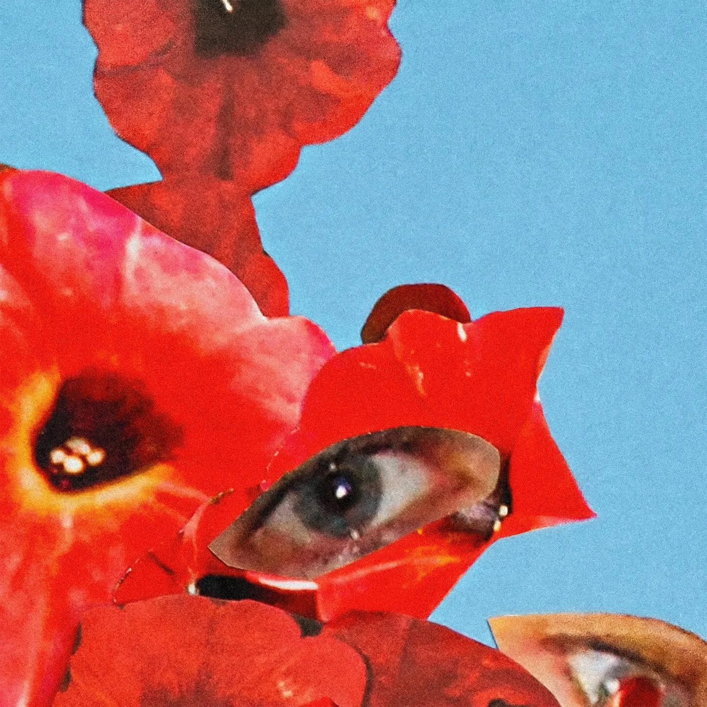 Ny plate p&aring; vei med Henriette Eilertsen Trio! F&oslash;rste singel er ute i dag, spilt inn med livets venner i musikken; @kontrabasen og @oysteinaarnesvik . 

Fly Ikaros heter den, han som fl&oslash;y for n&aelig;r sola s&aring; vingene smelta.