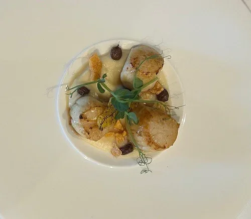 Scallops.webp