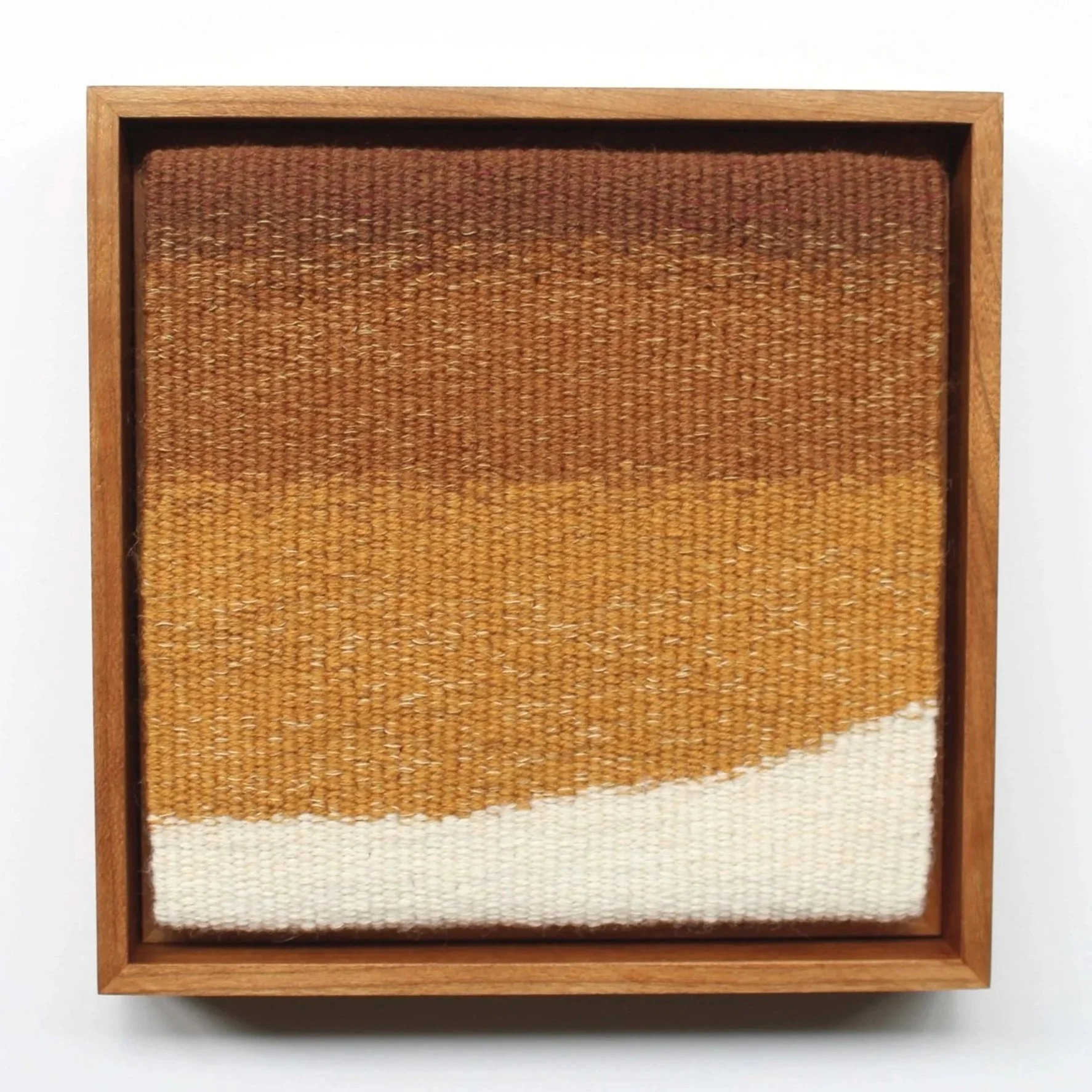 Impala - Safari Series