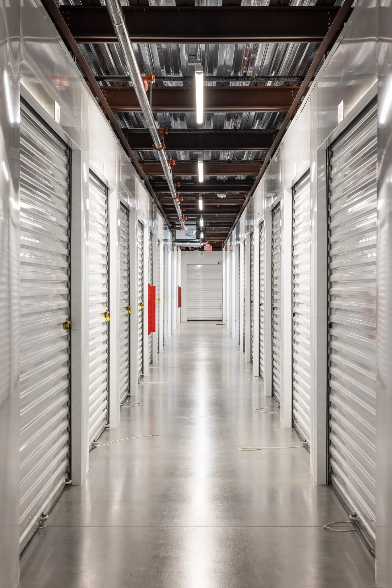 20241212-ChristyKosnic -9.jpg