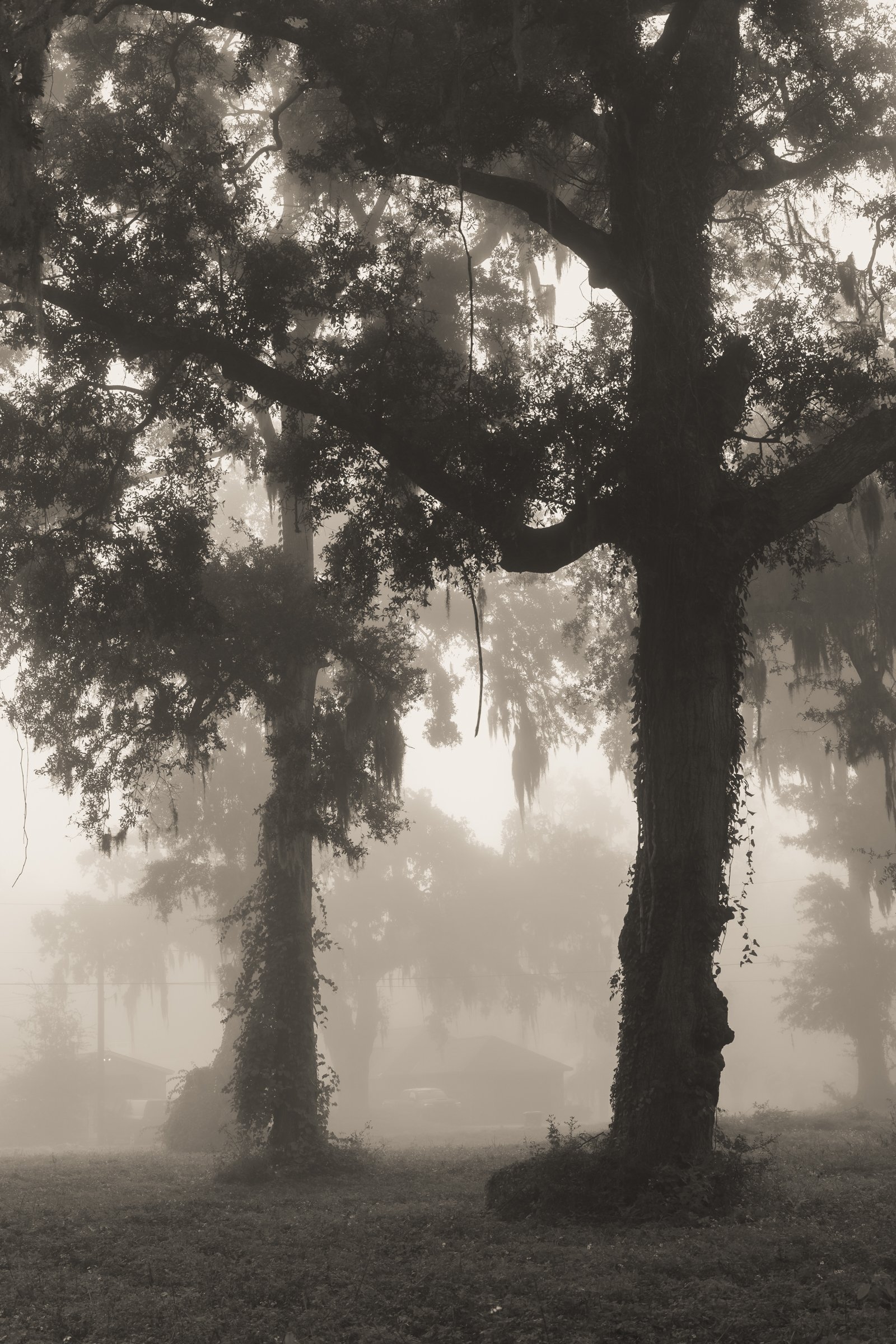Port Royal-1.jpg