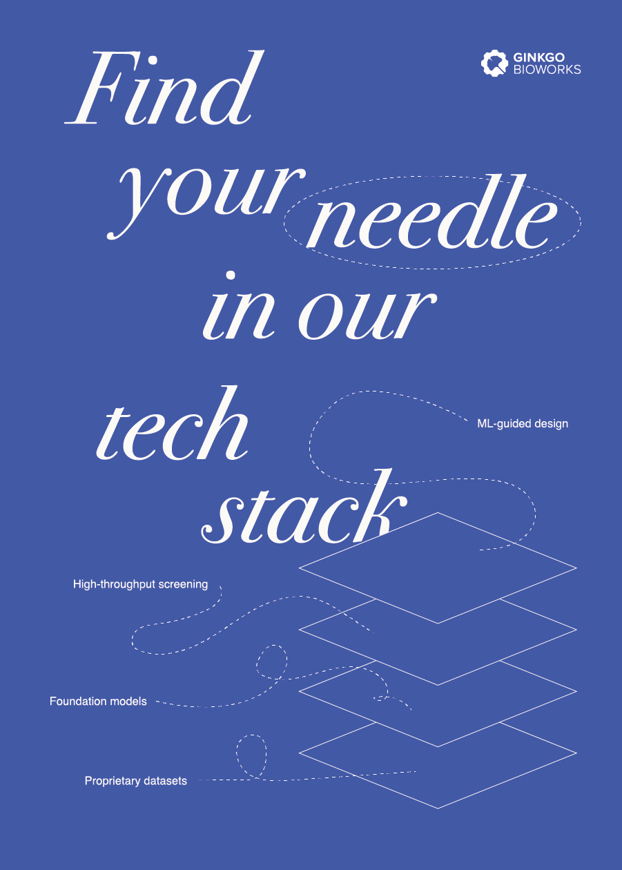 Find your needle in our tech stack.png