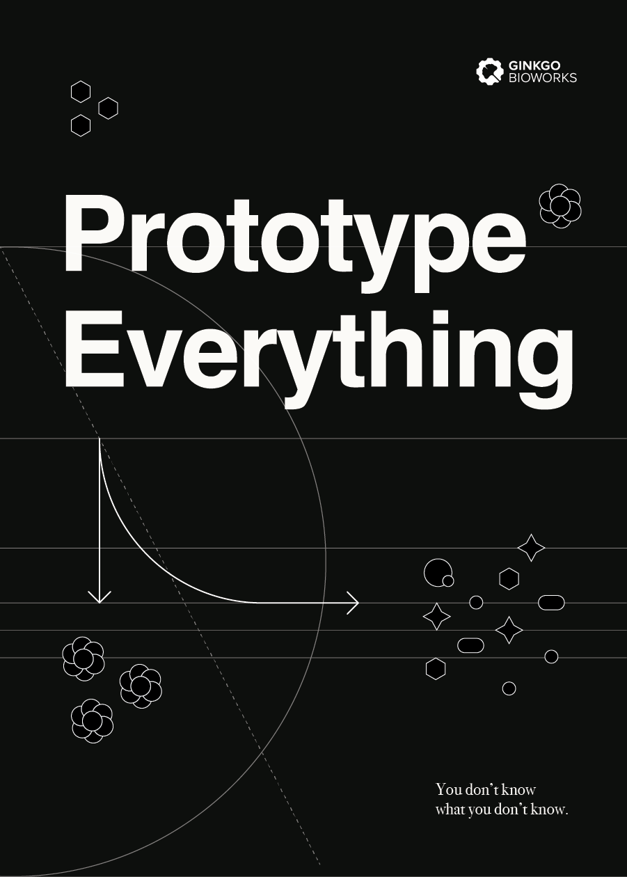 Prototype Everything.png