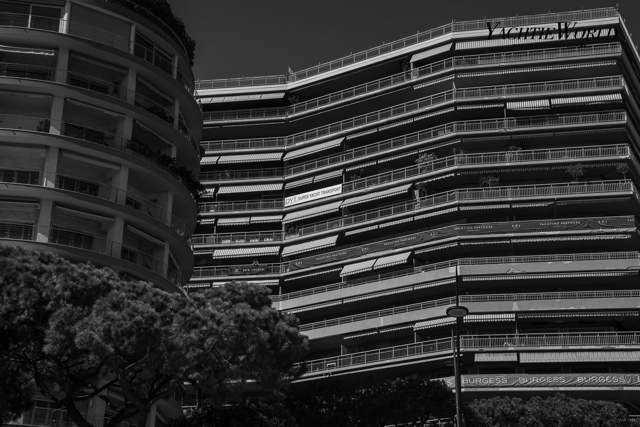 B&W-37.jpg