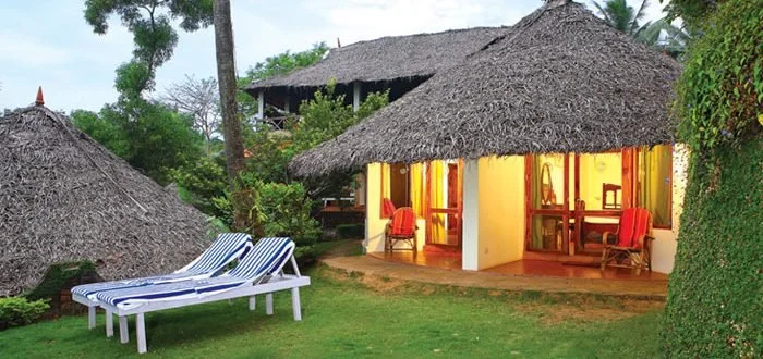 India Ayurveda and Yoga Retreat