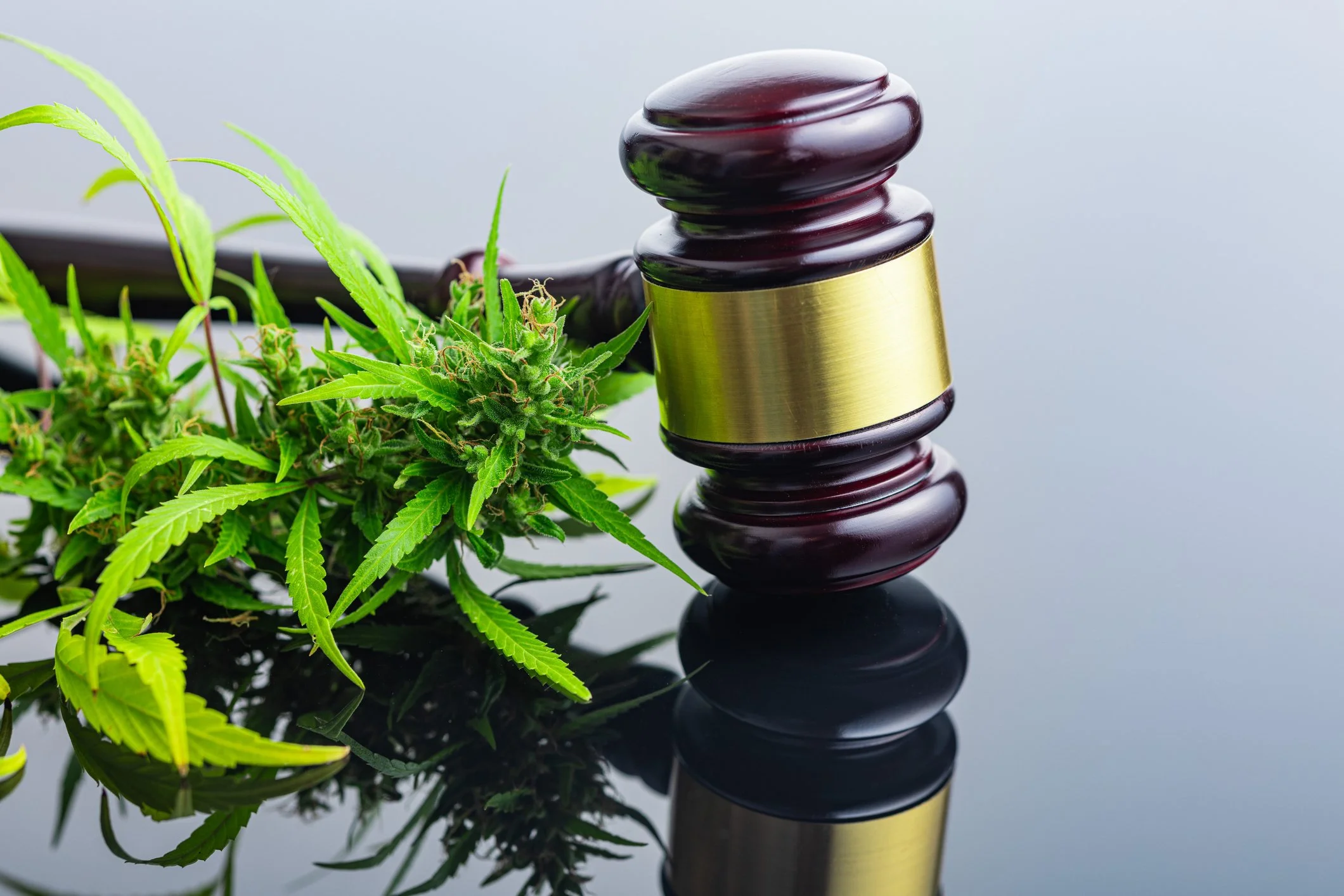The Cannabis Research Order: A Turning Point for Valuations?