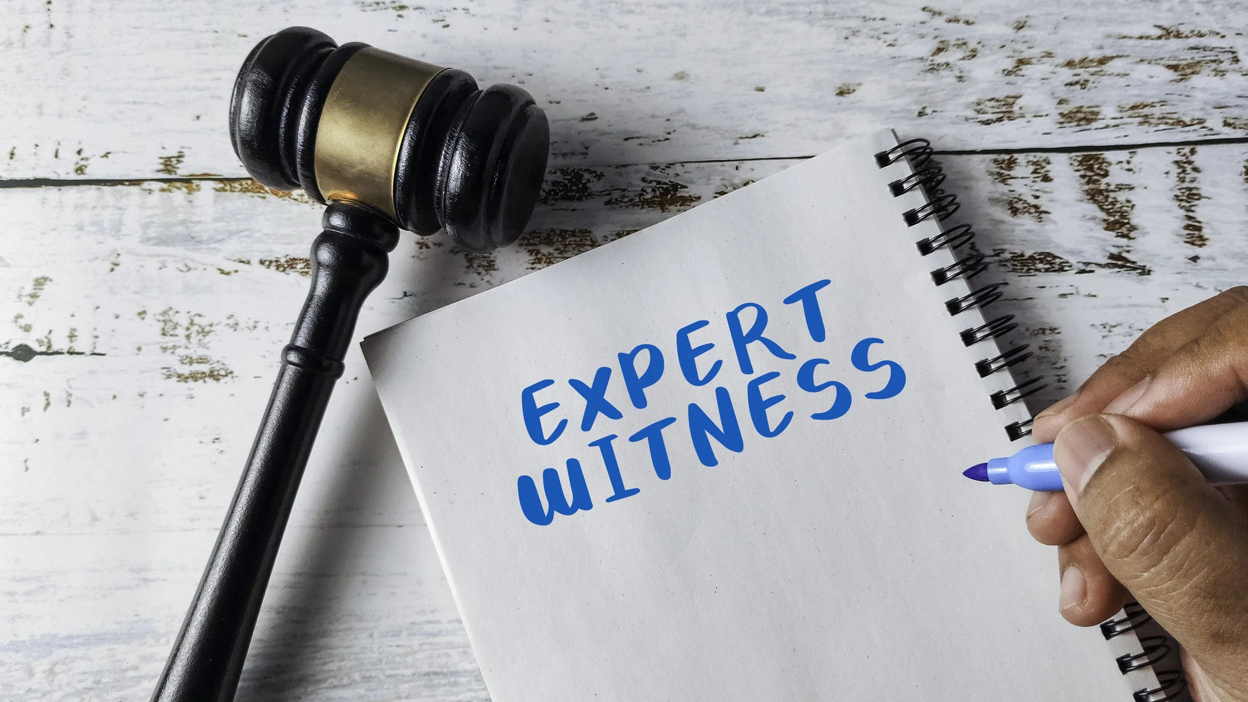 Working with an Economic Damages Expert: A Practical Guide for Counsel
