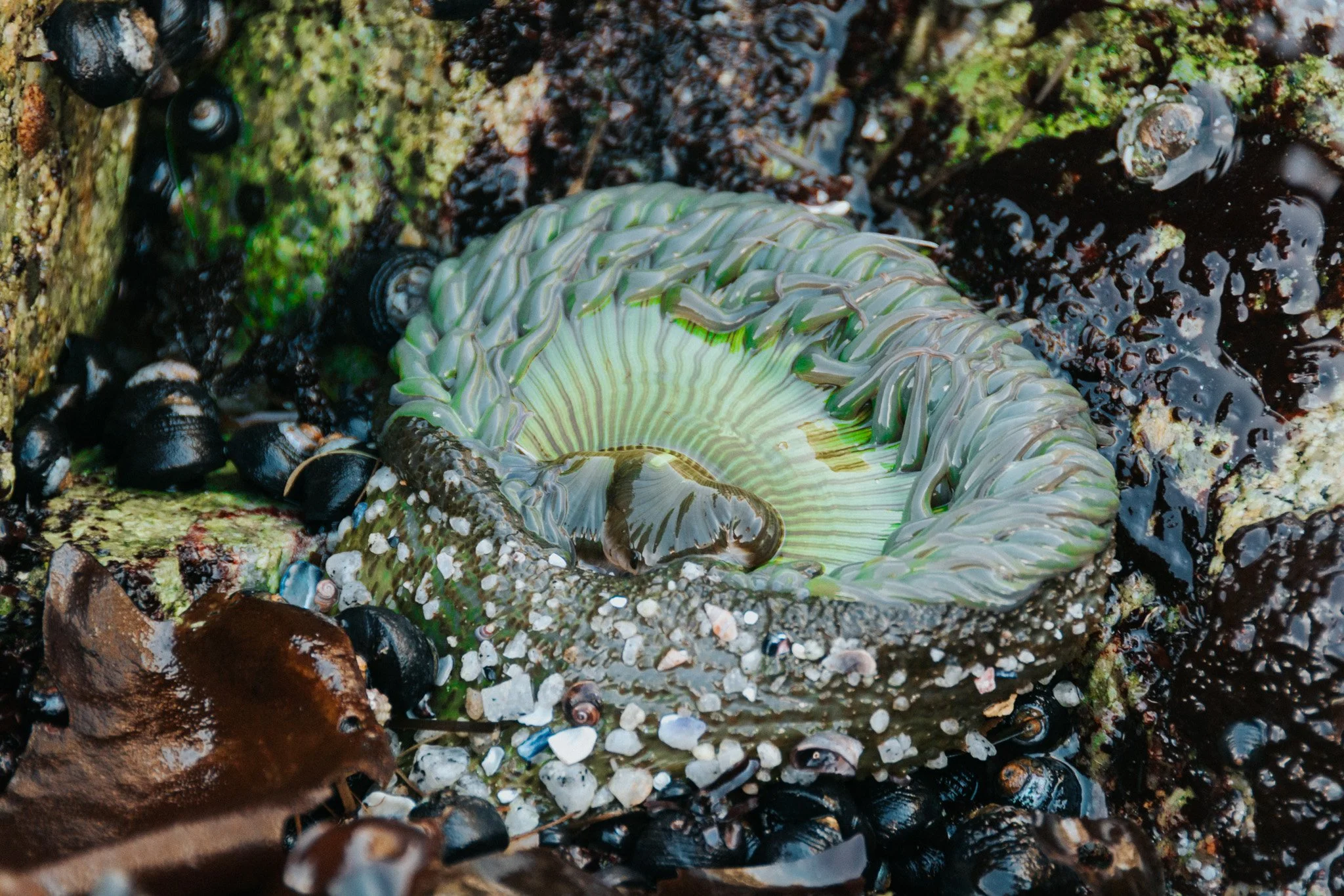 DSC_0008.jpg