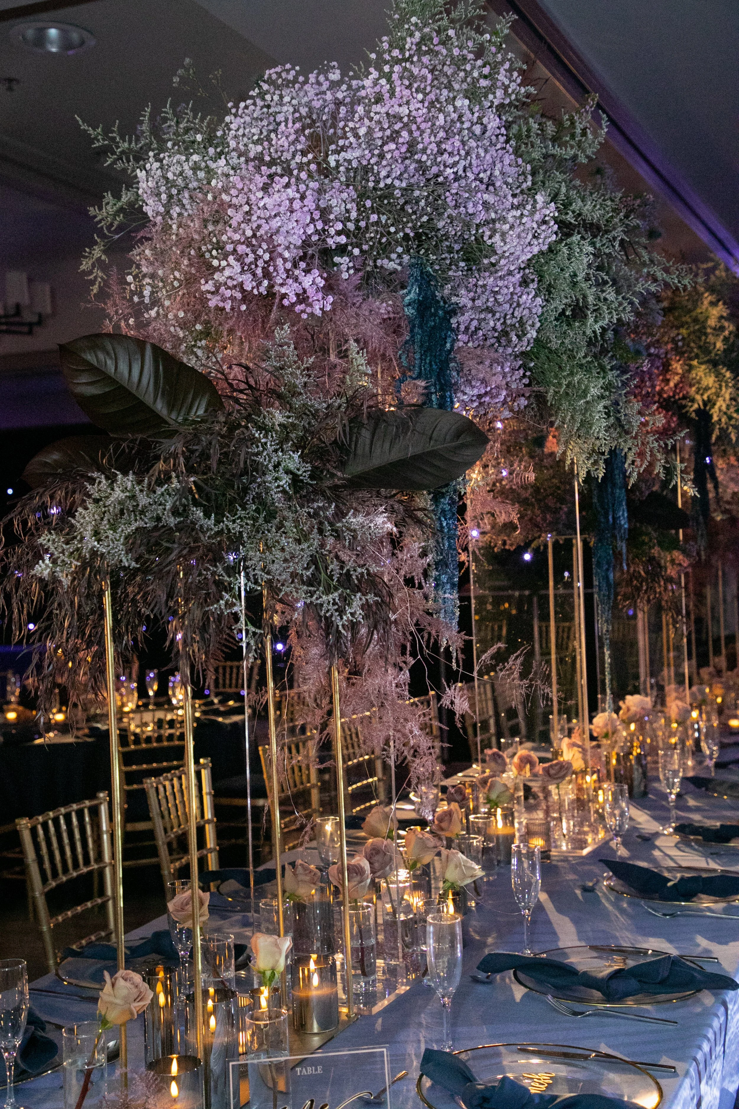 Highlights-1451.jpg