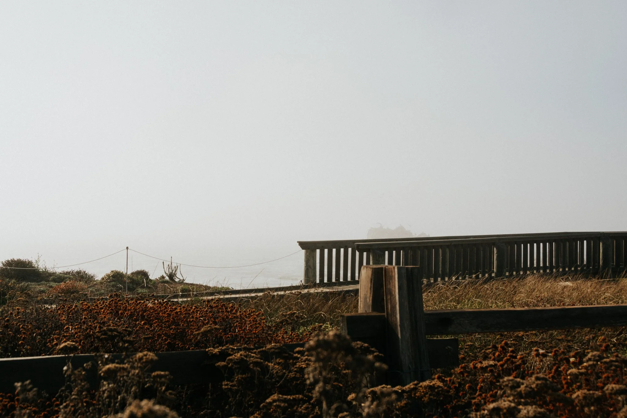 DSC_1227.jpg