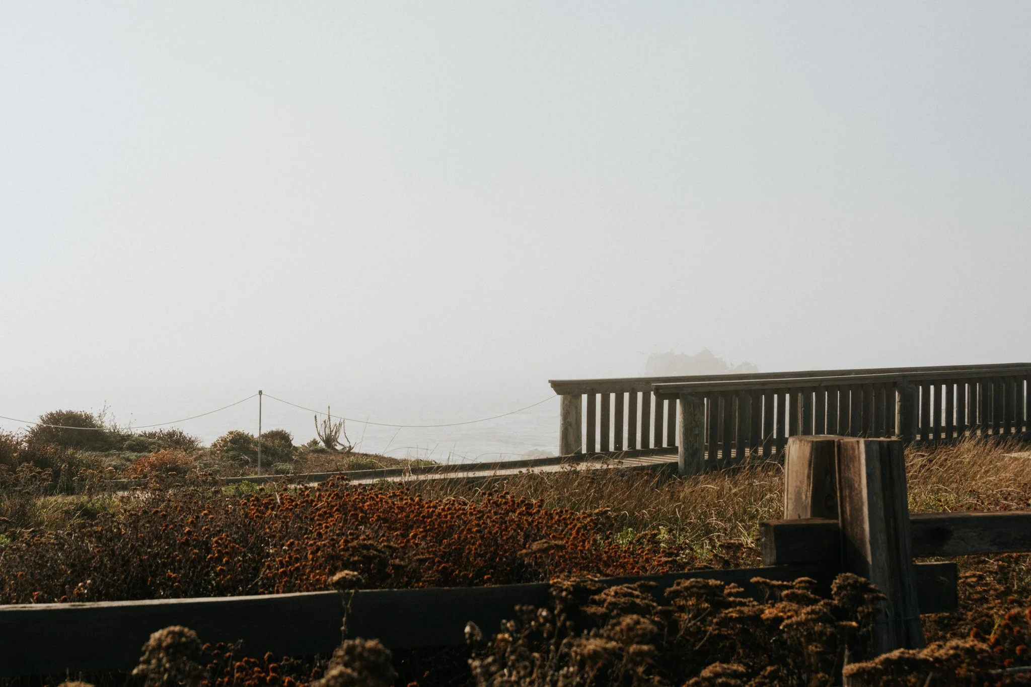 DSC_1228.jpg