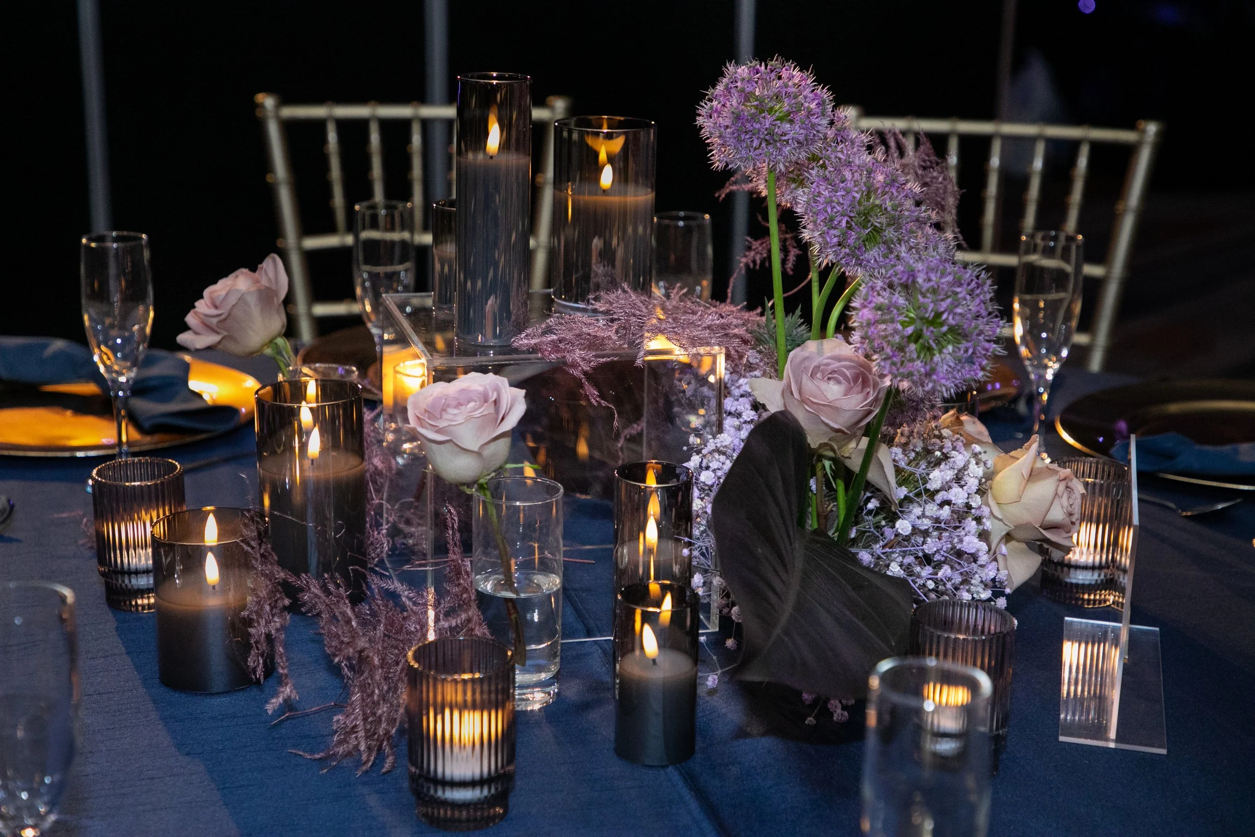 Highlights-1446.jpg