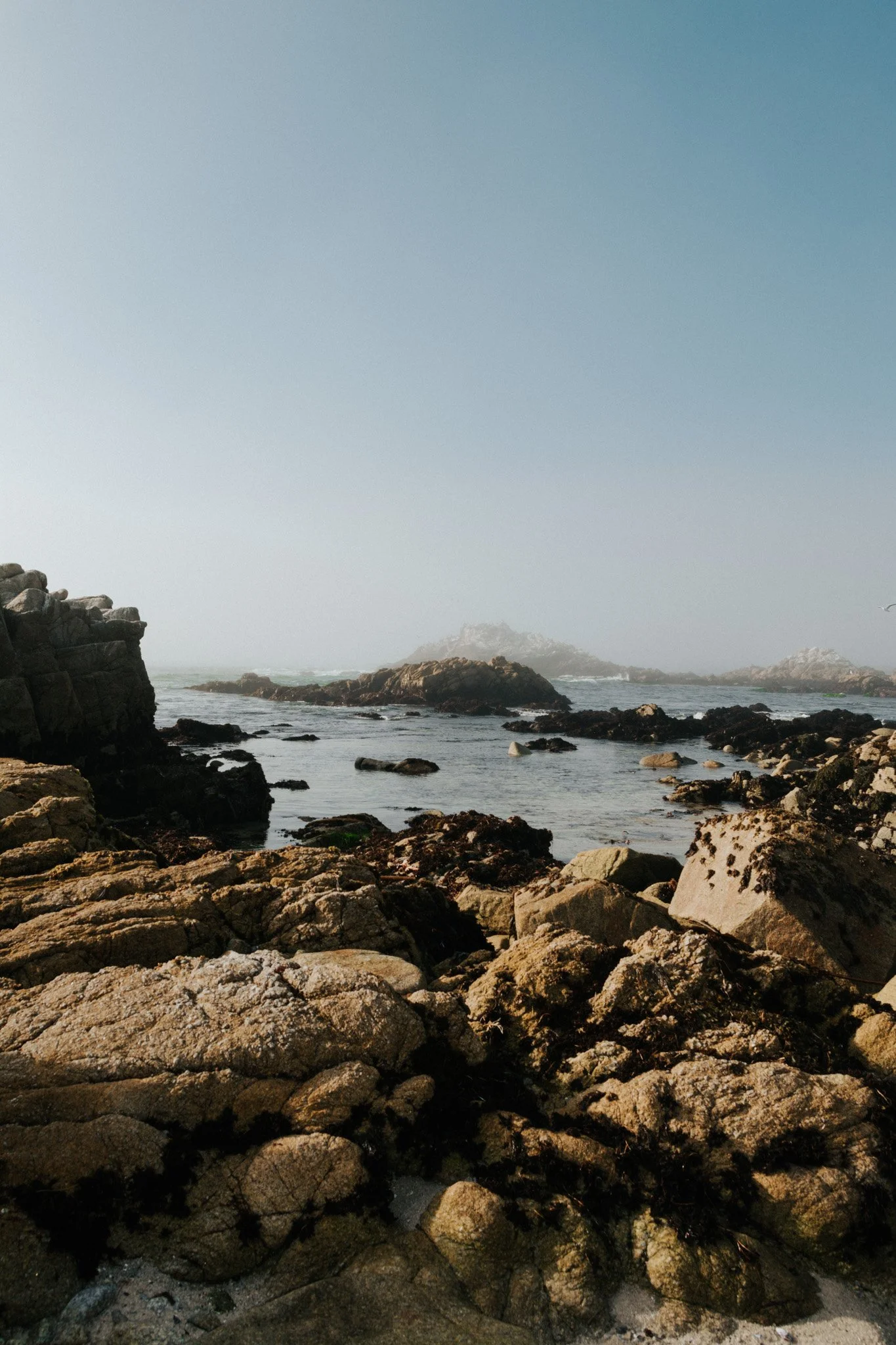 DSC_0001.jpg